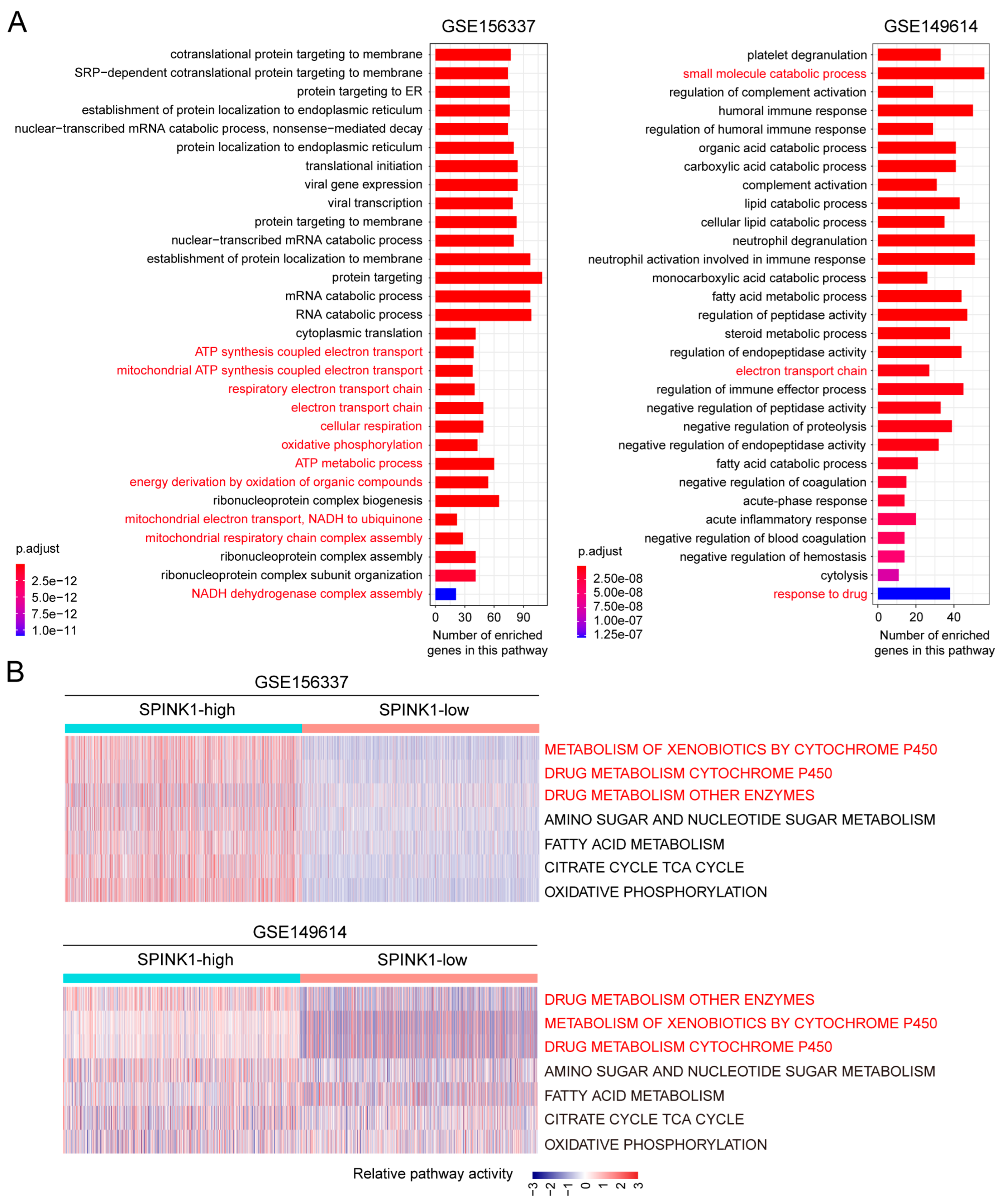 Biomolecules 14 00265 g003