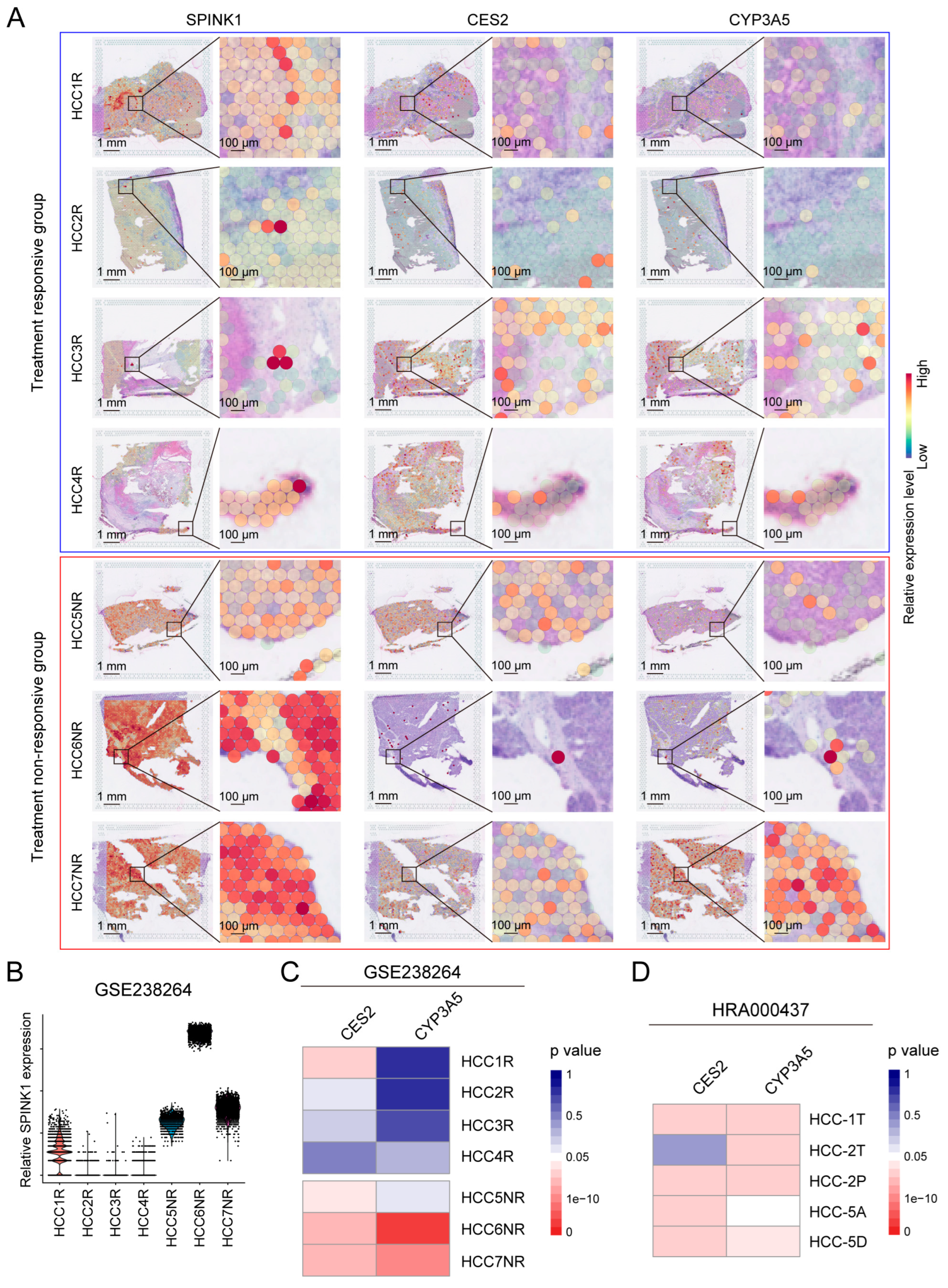 Biomolecules 14 00265 g005