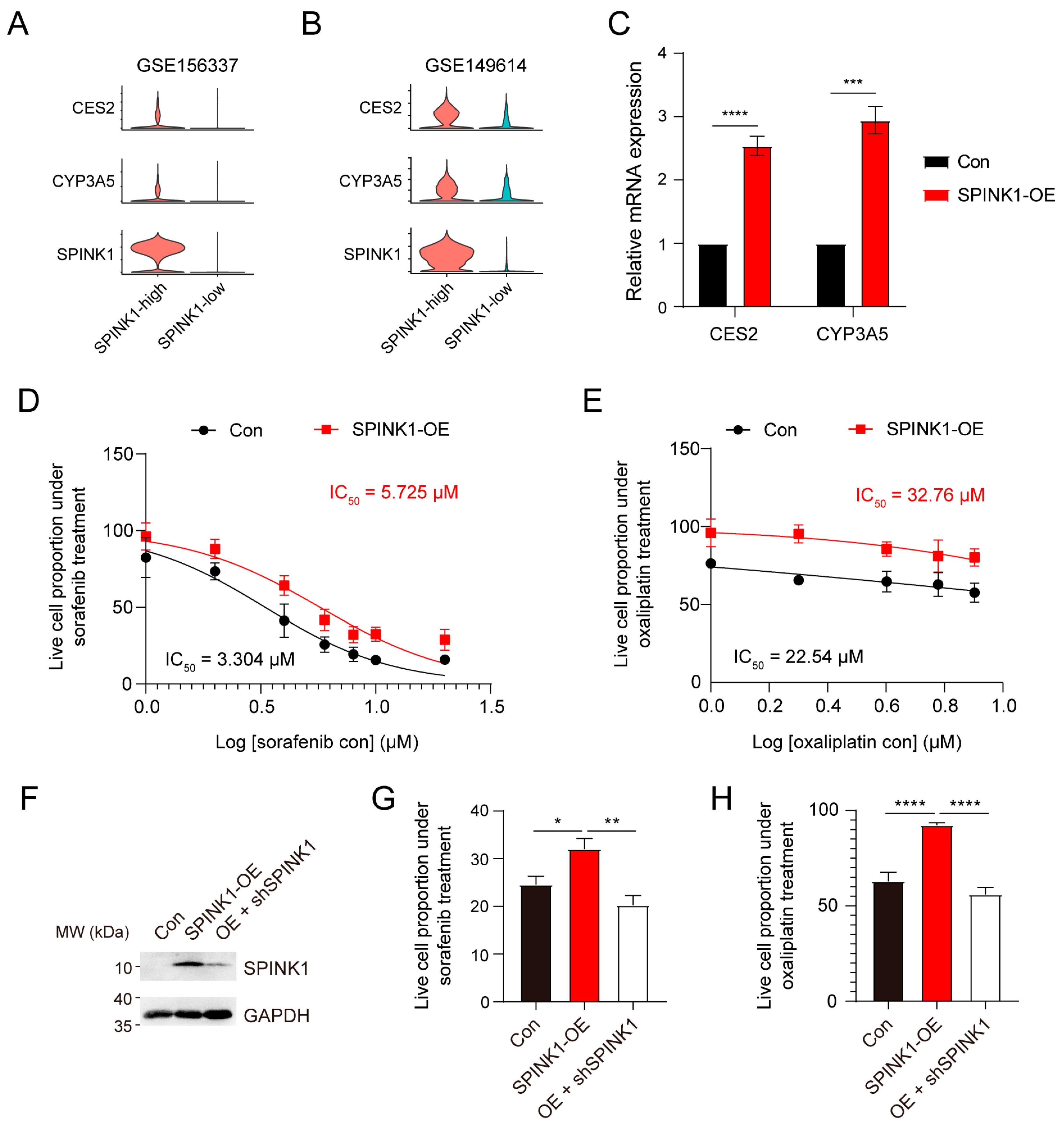 Biomolecules 14 00265 g006