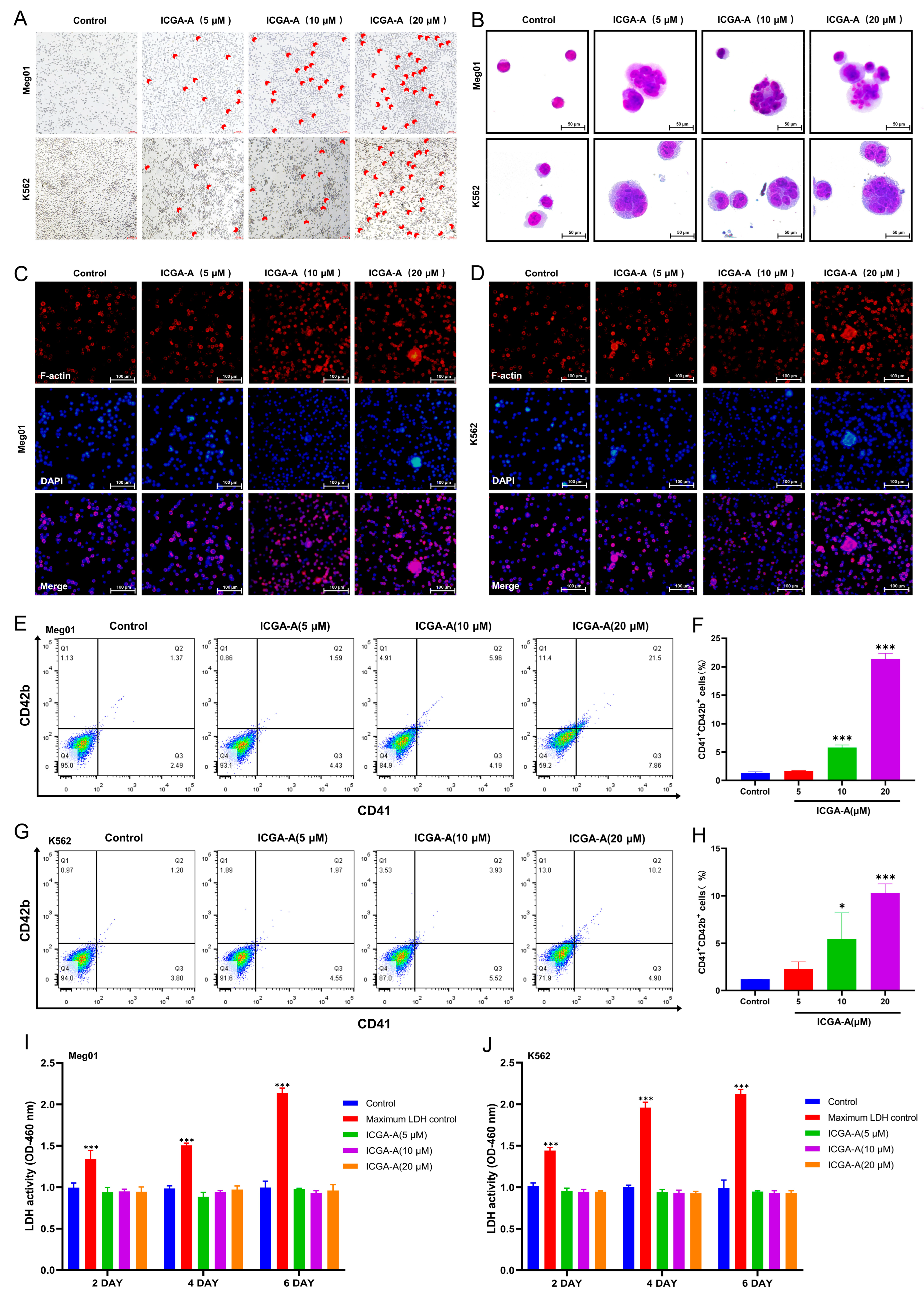 Biomolecules 14 00267 g005