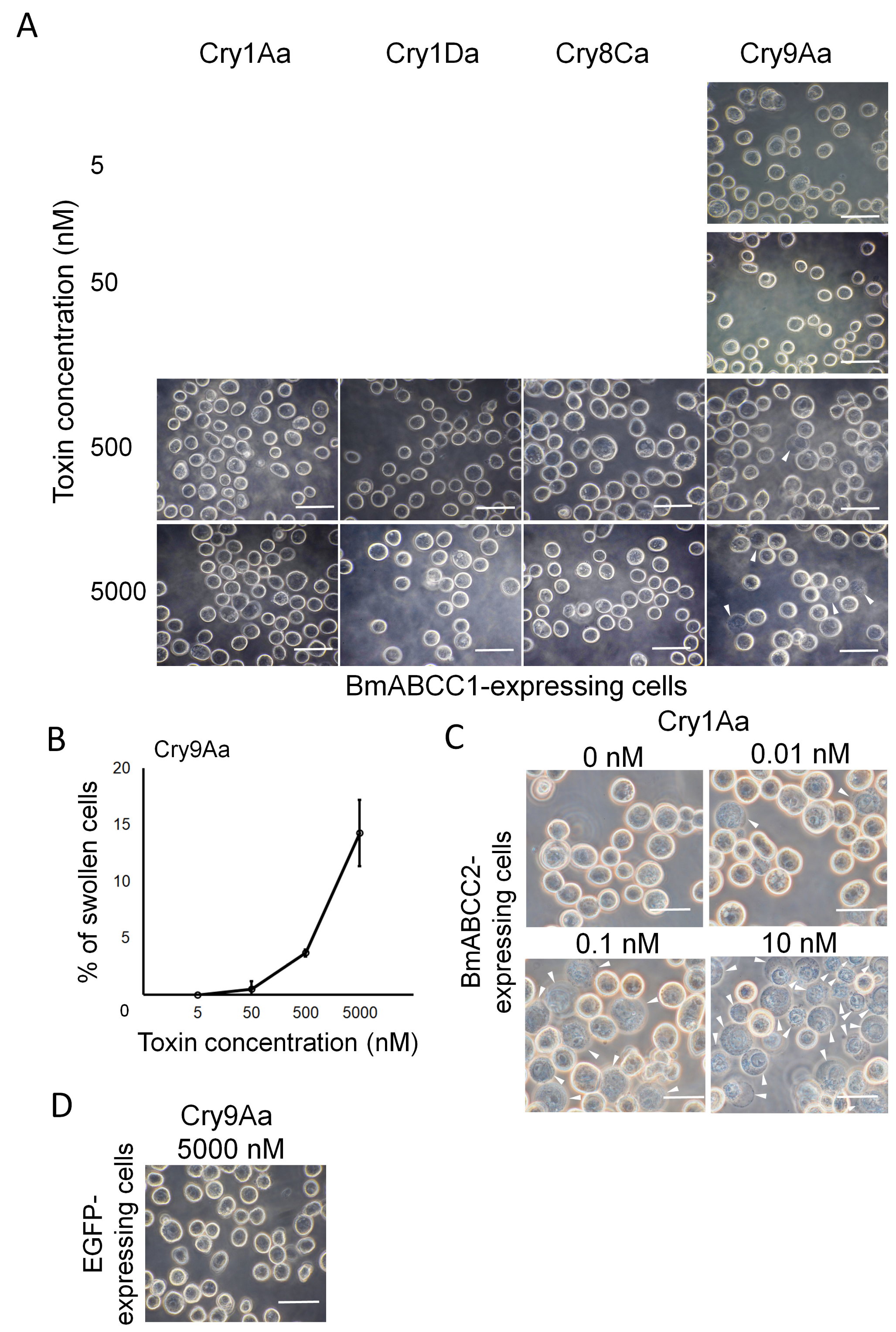 Biomolecules 14 00271 g003