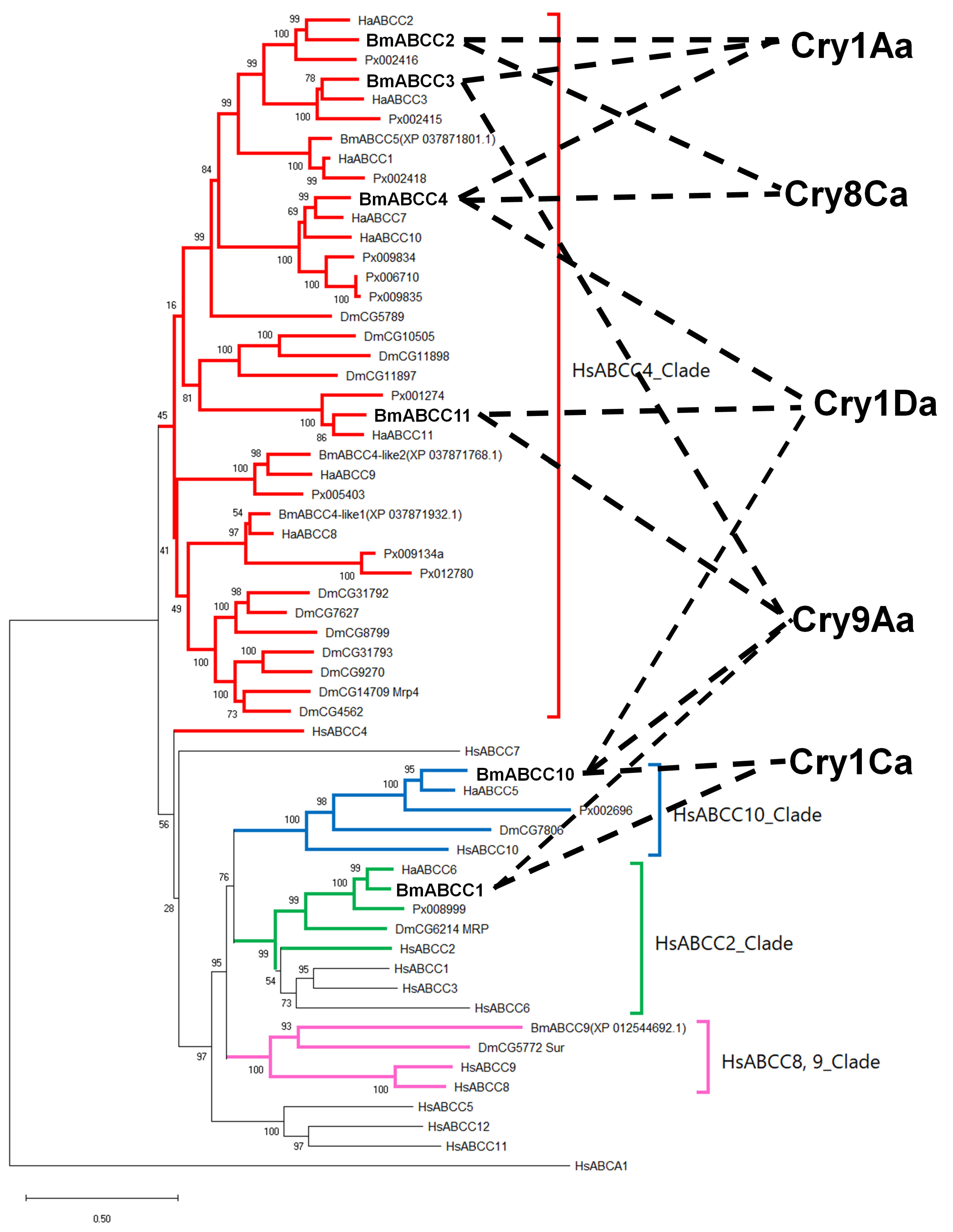 Biomolecules 14 00271 g007