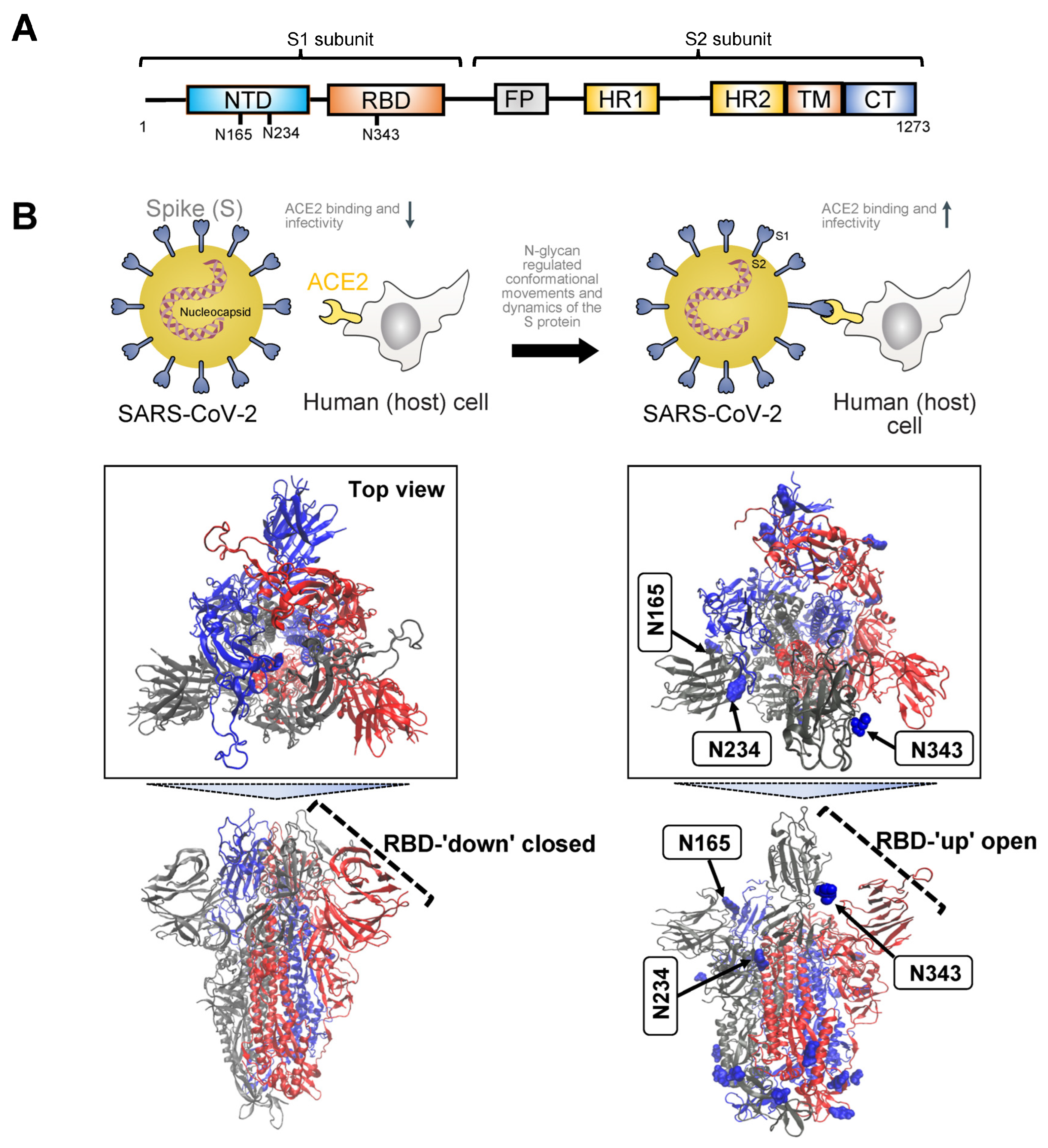 Biomolecules 14 00282 g001