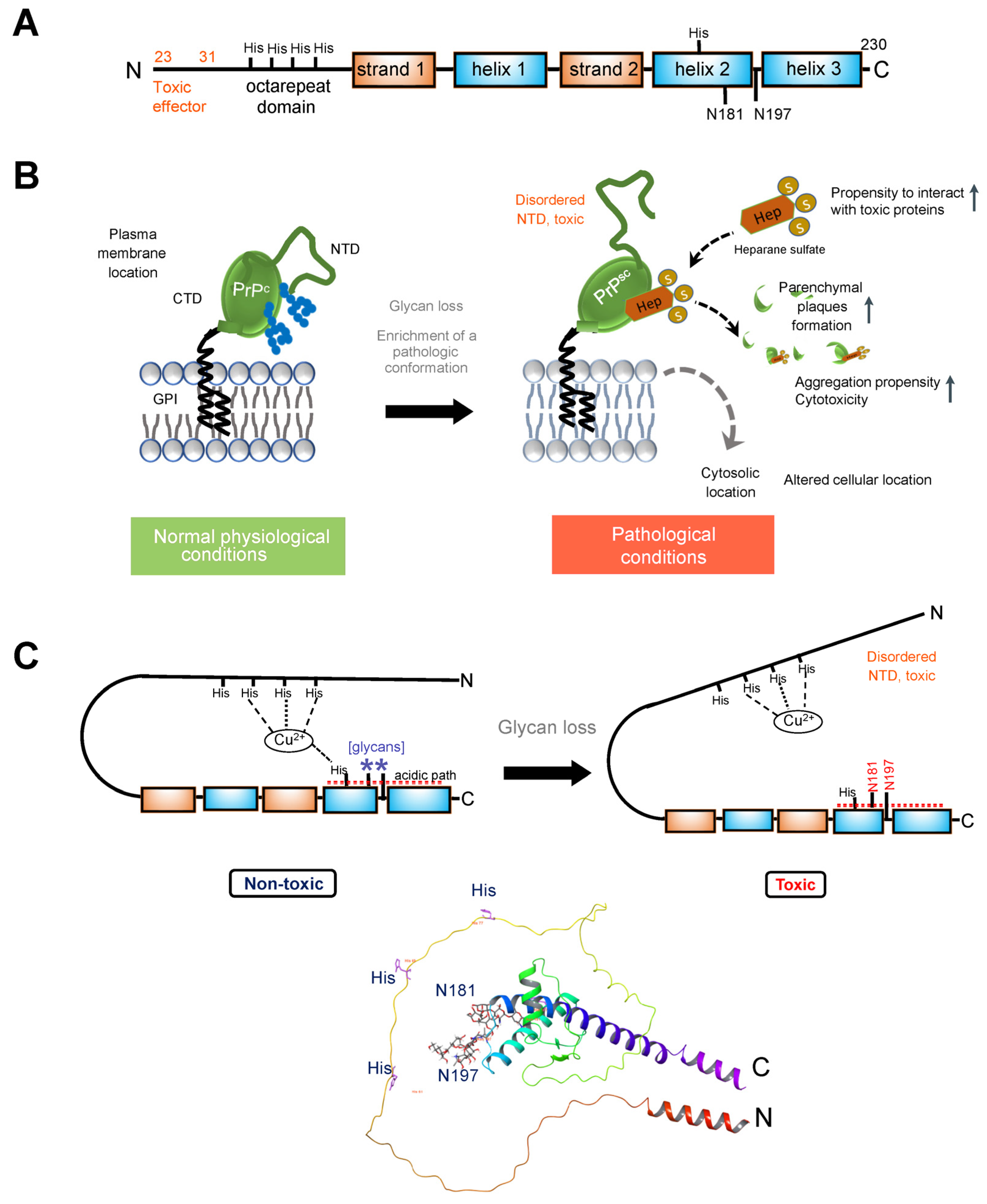Biomolecules 14 00282 g002