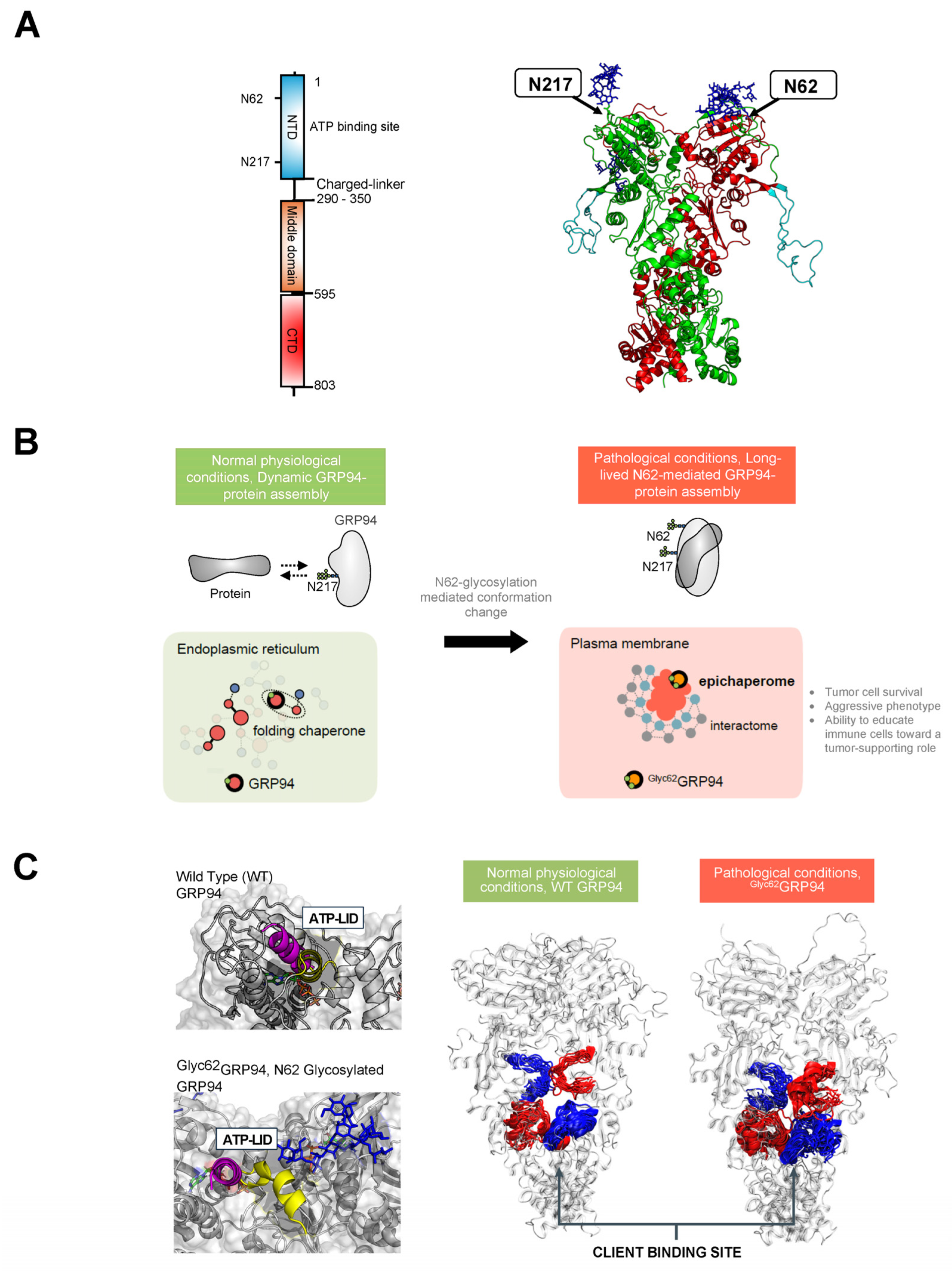 Biomolecules 14 00282 g003