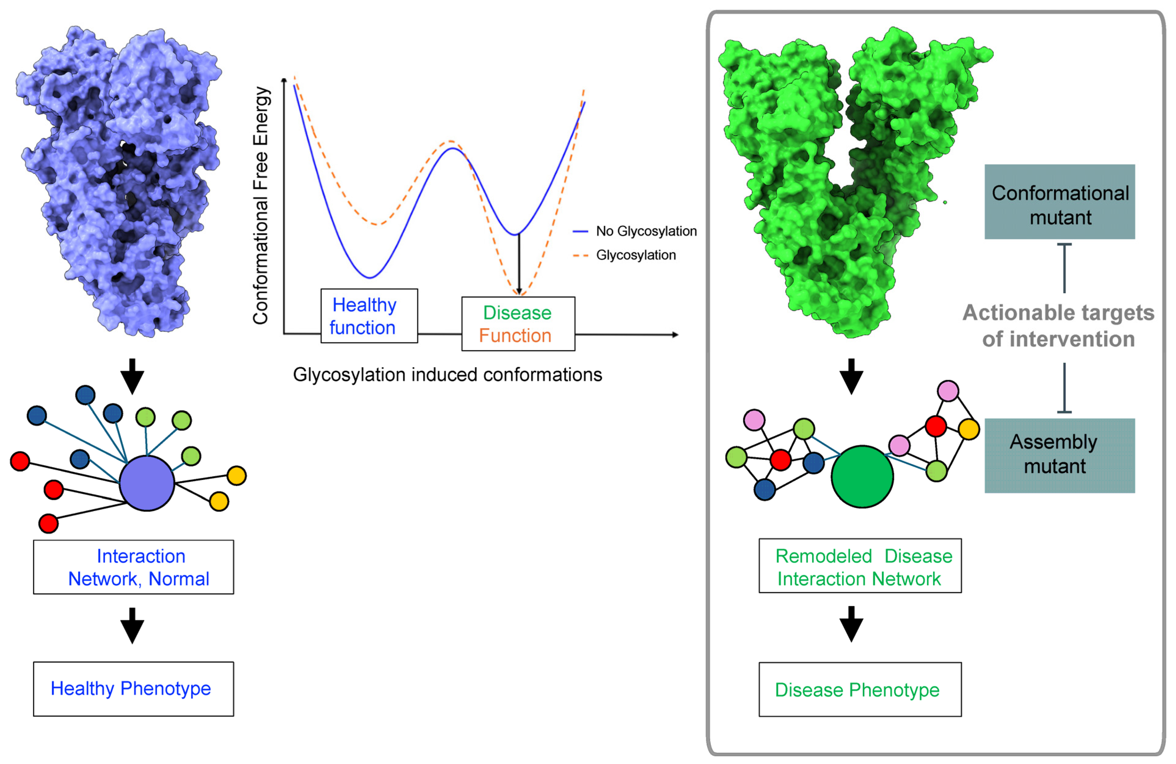 Biomolecules 14 00282 g004