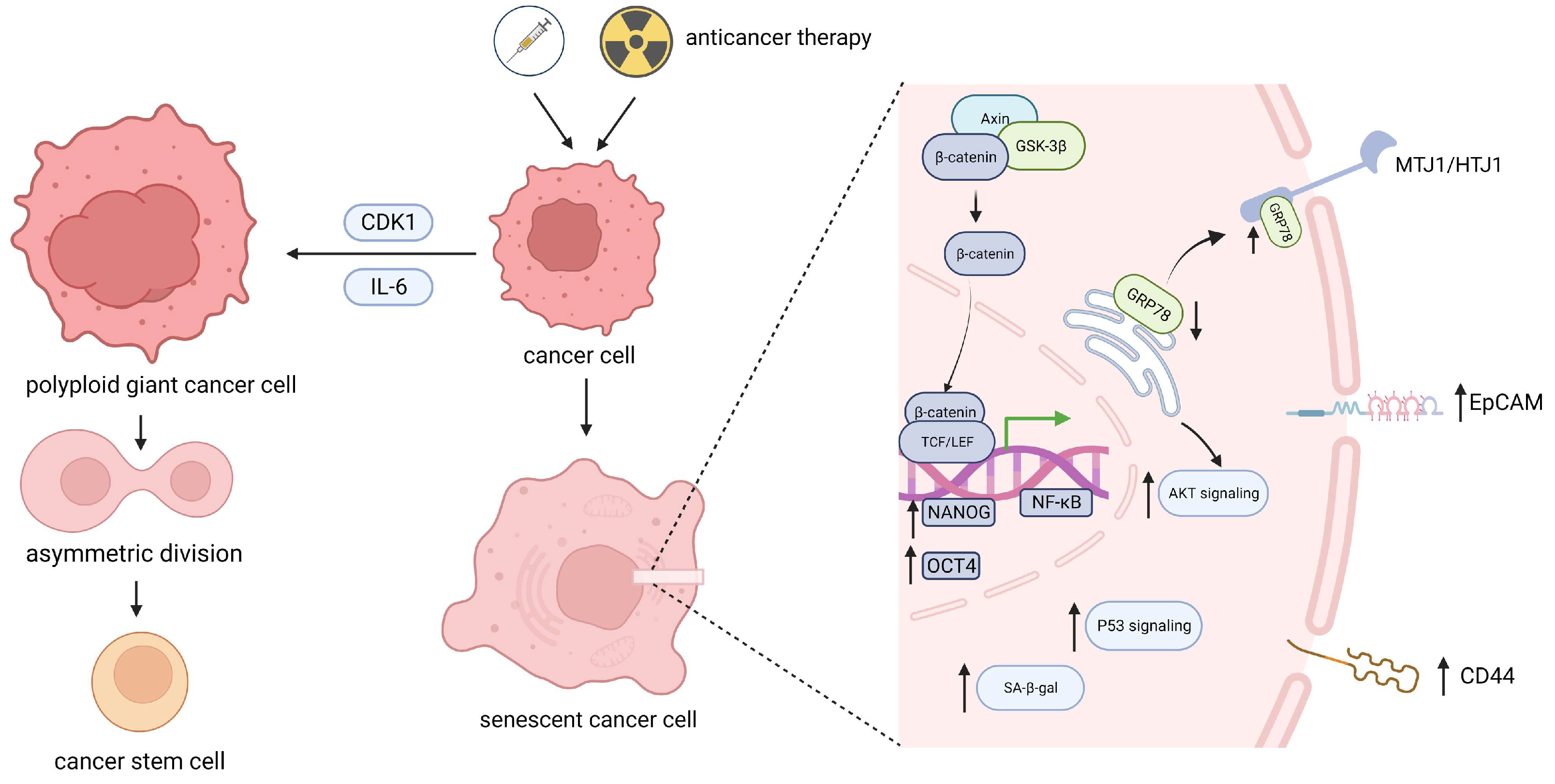 Biomolecules 14 00288 g001 Biomolecules 14 00288 g001