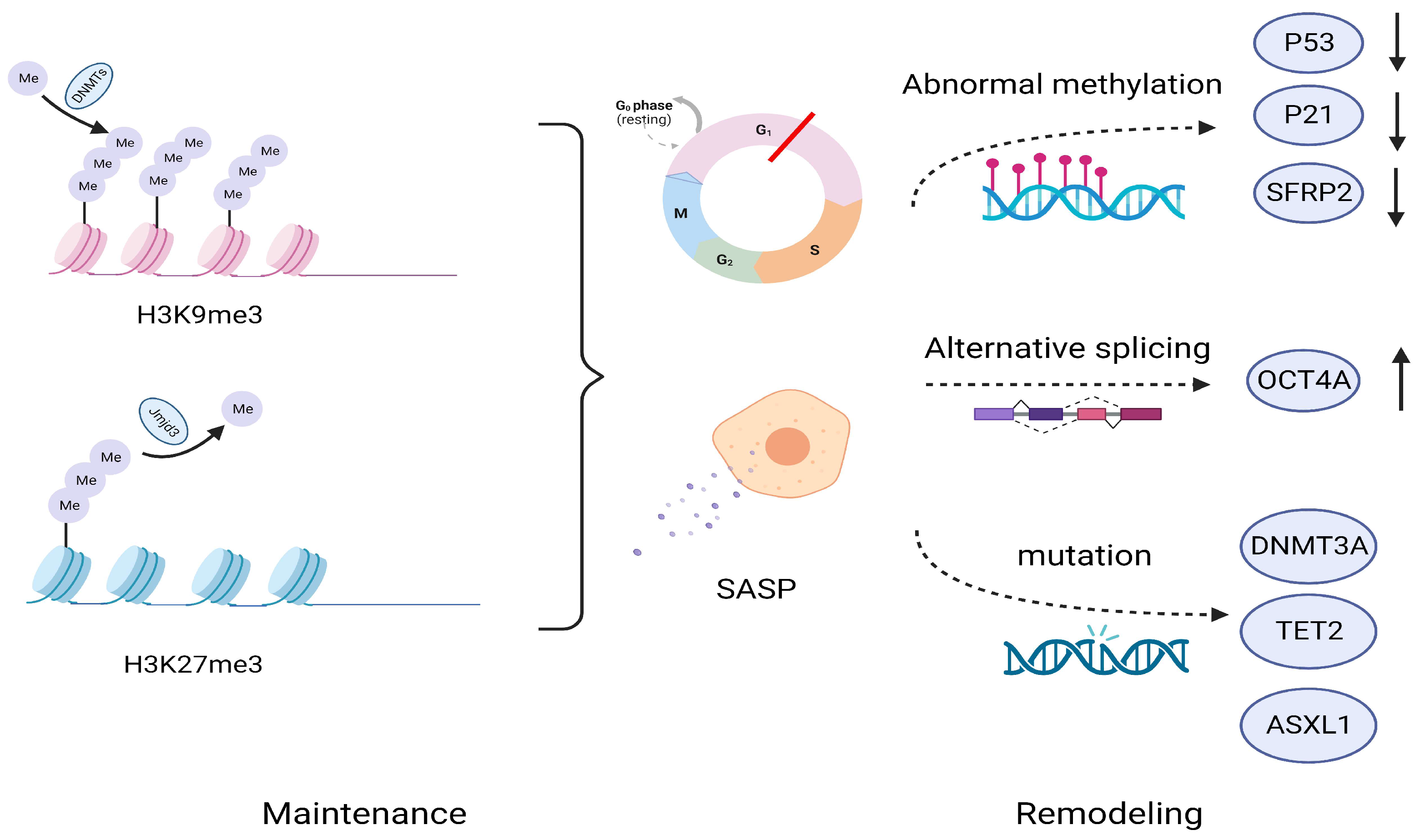 Biomolecules 14 00288 g003 Biomolecules 14 00288 g003