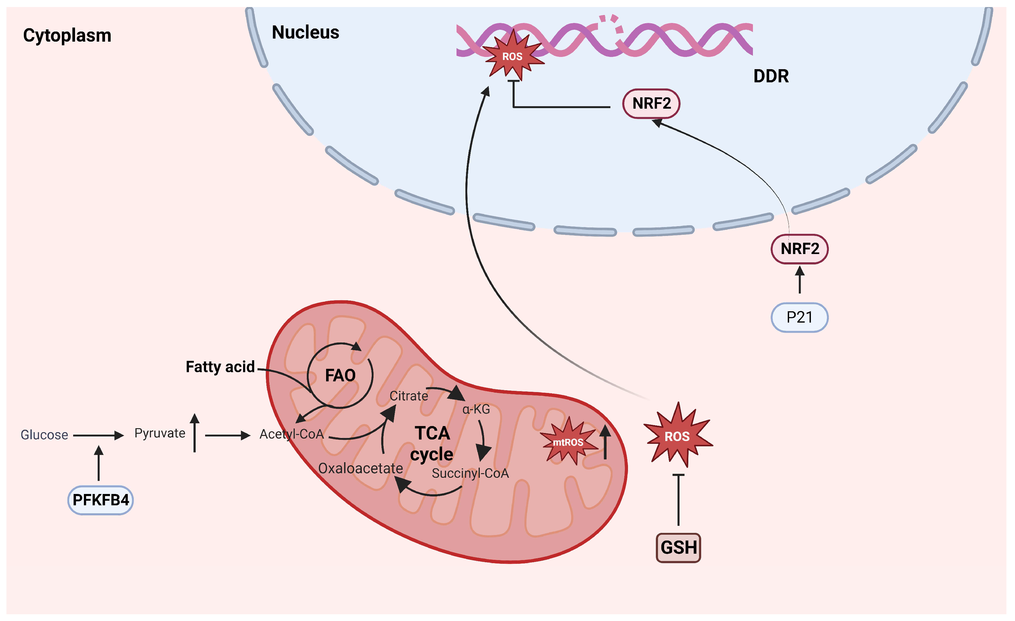 Biomolecules 14 00288 g004 Biomolecules 14 00288 g004