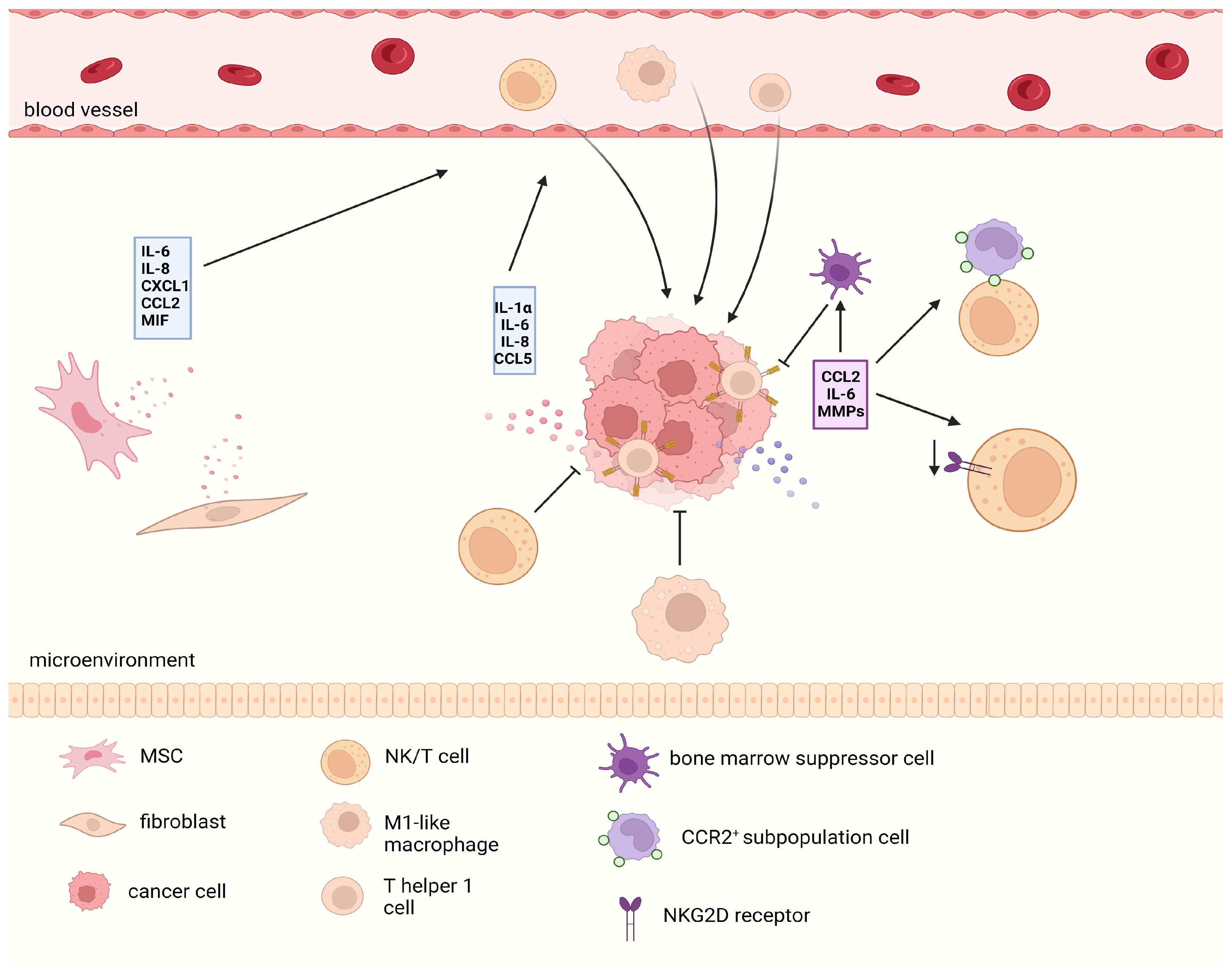 Biomolecules 14 00288 g005 Biomolecules 14 00288 g005