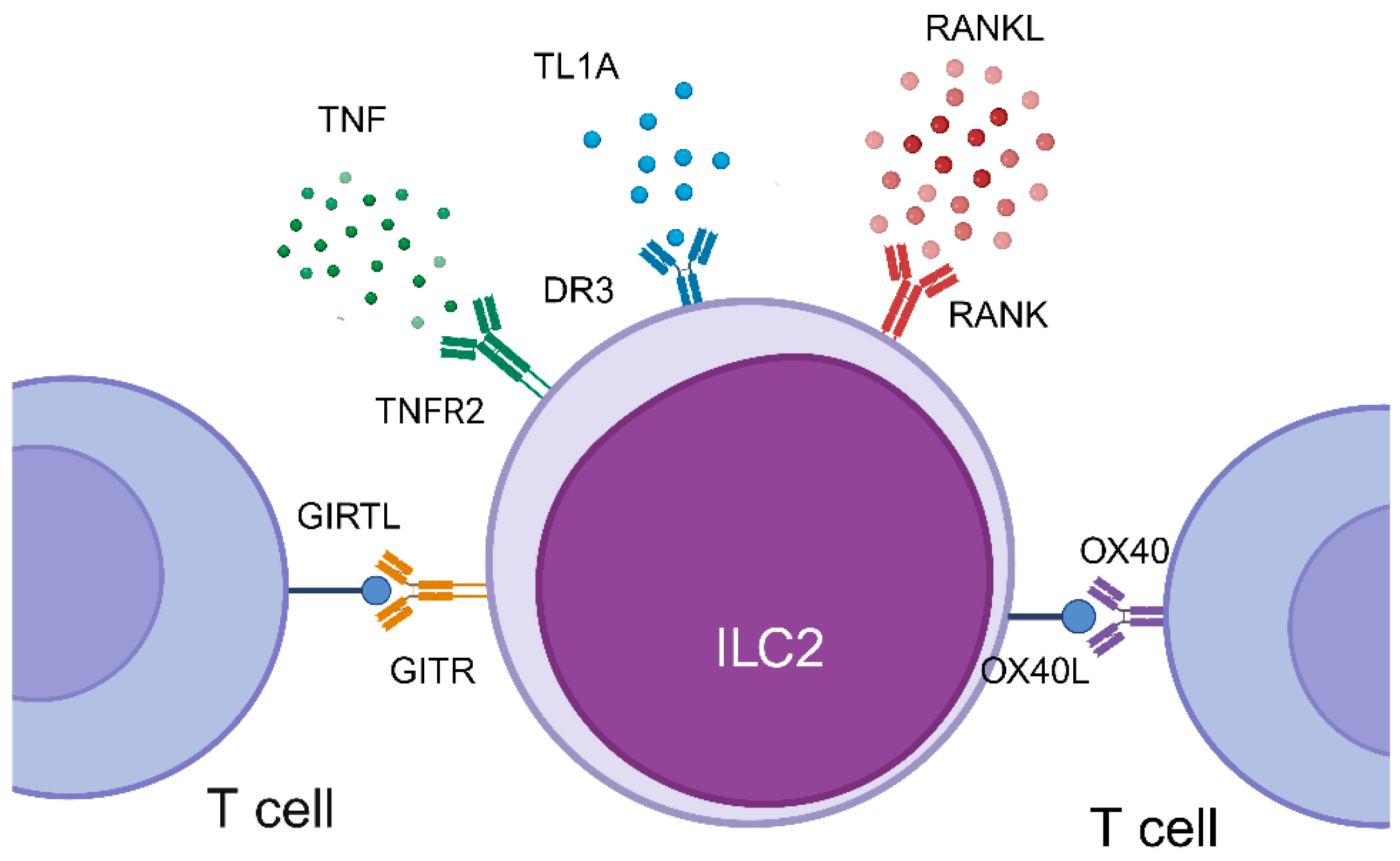 Biomolecules 14 00294 g001