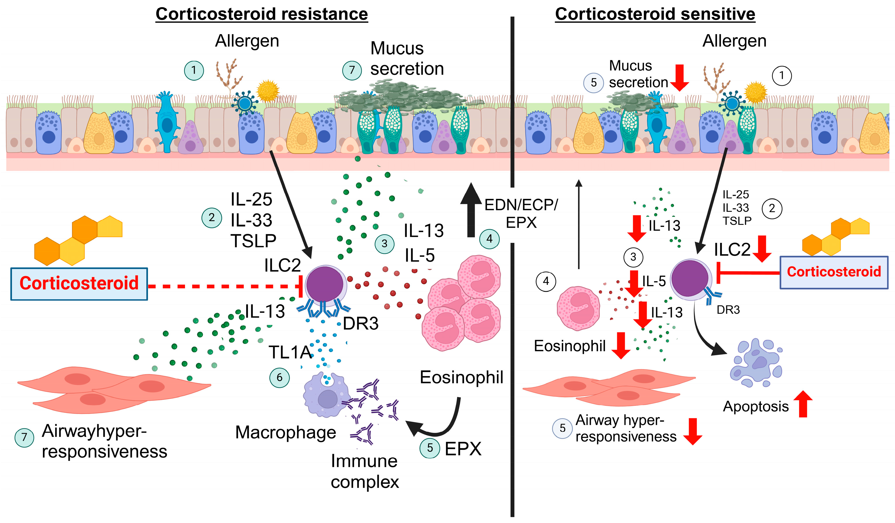 Biomolecules 14 00294 g002