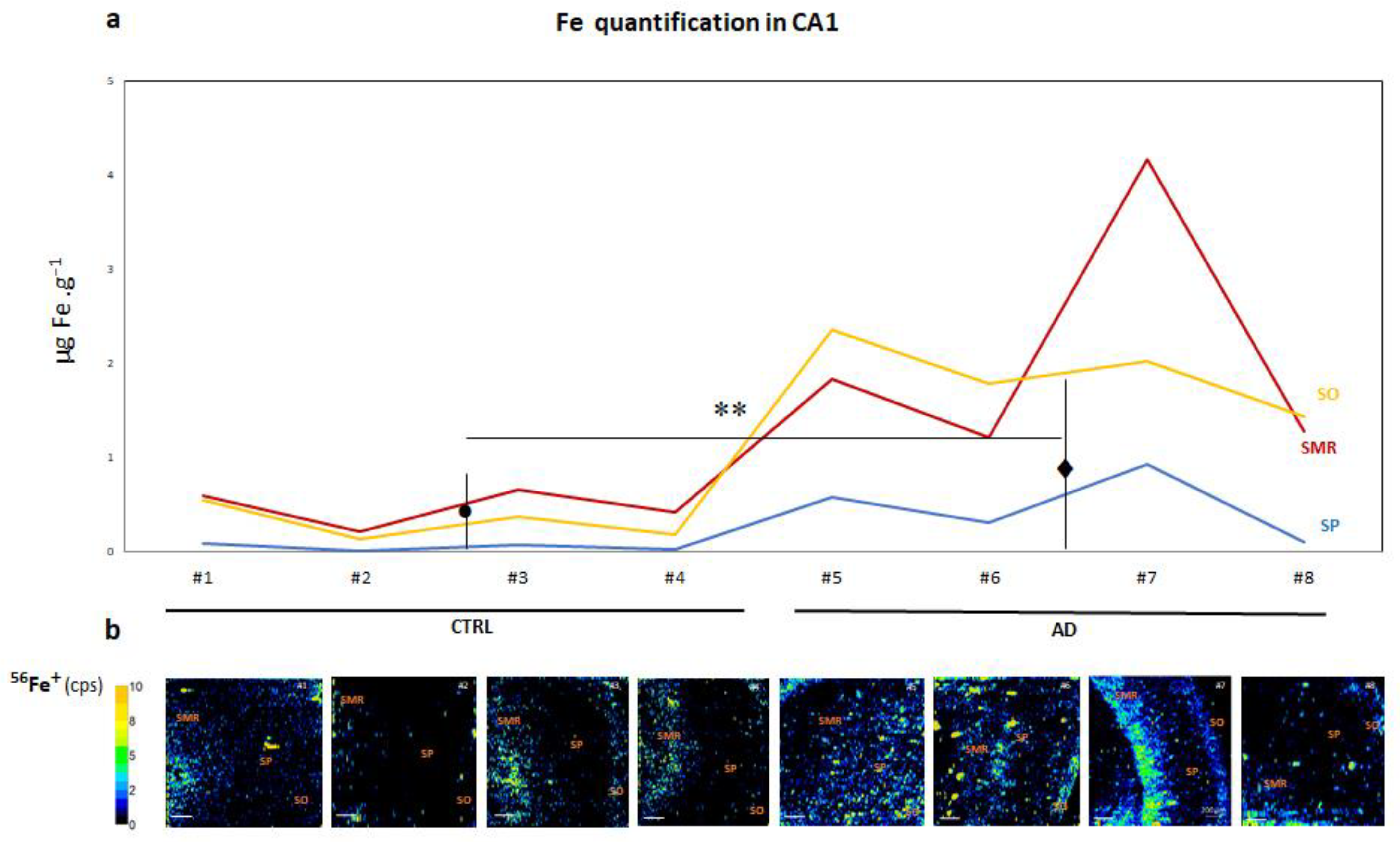Biomolecules 14 00295 g001 Biomolecules 14 00295 g001