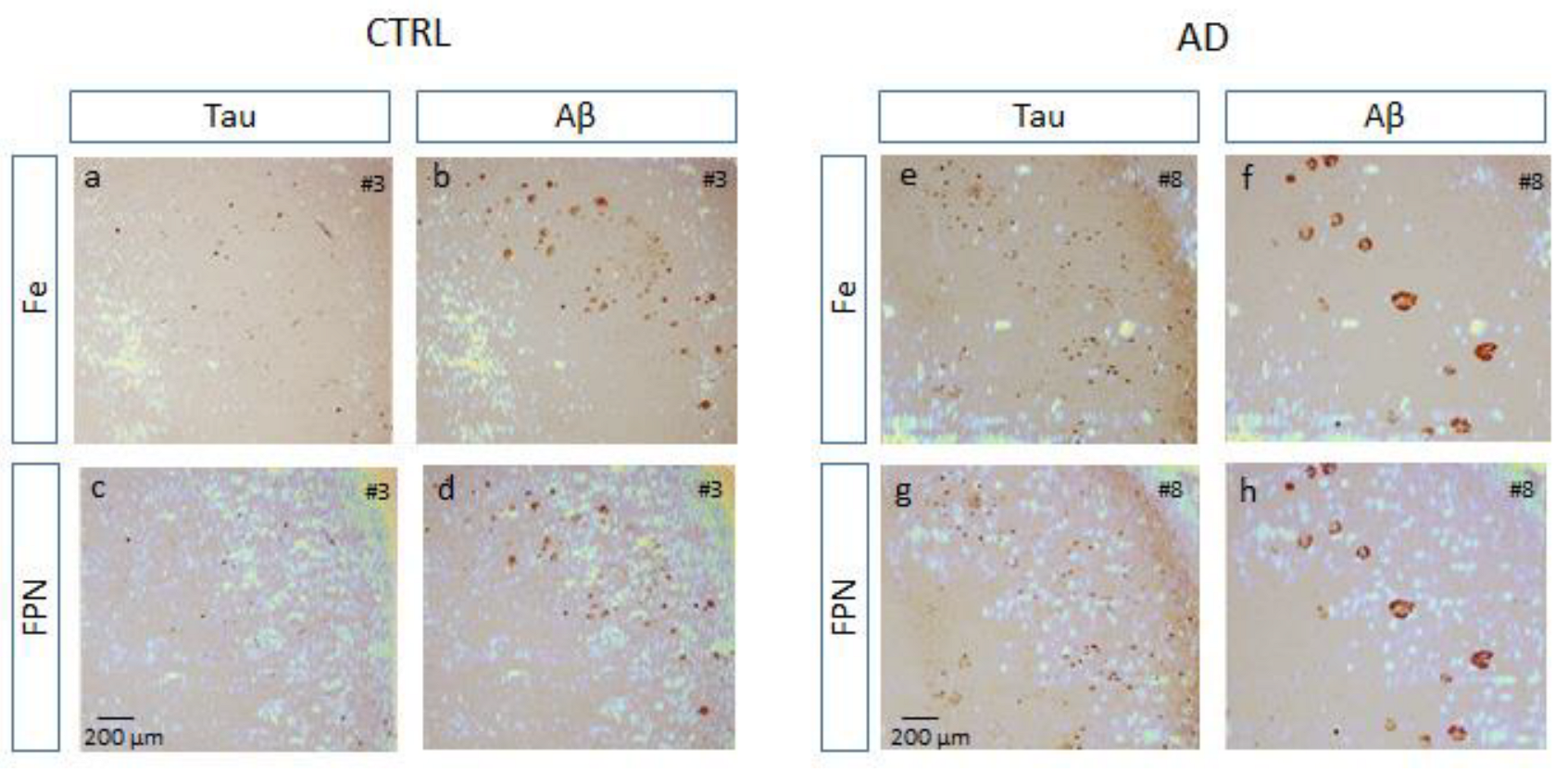 Biomolecules 14 00295 g006 Biomolecules 14 00295 g006