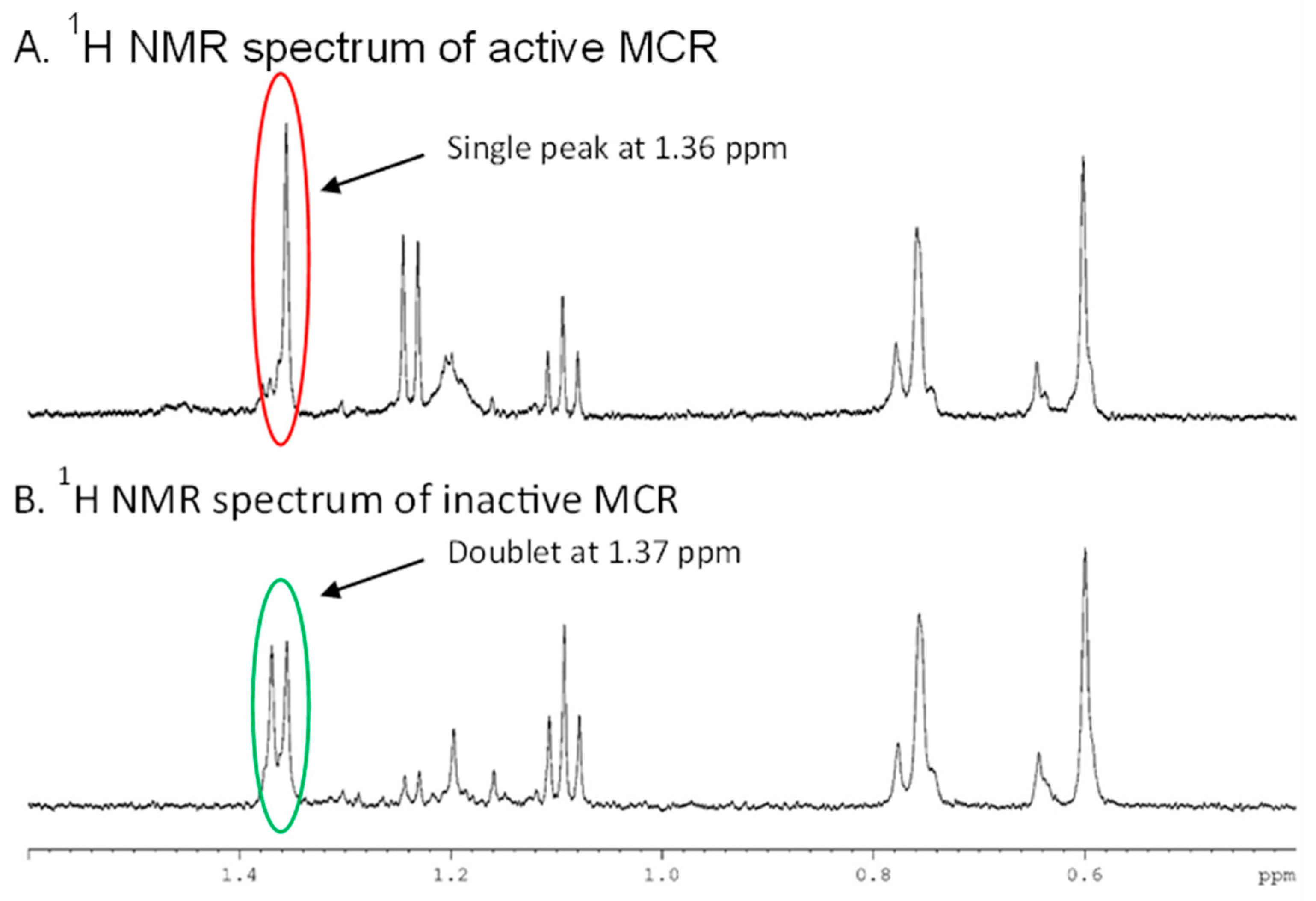Biomolecules 14 00299 g001