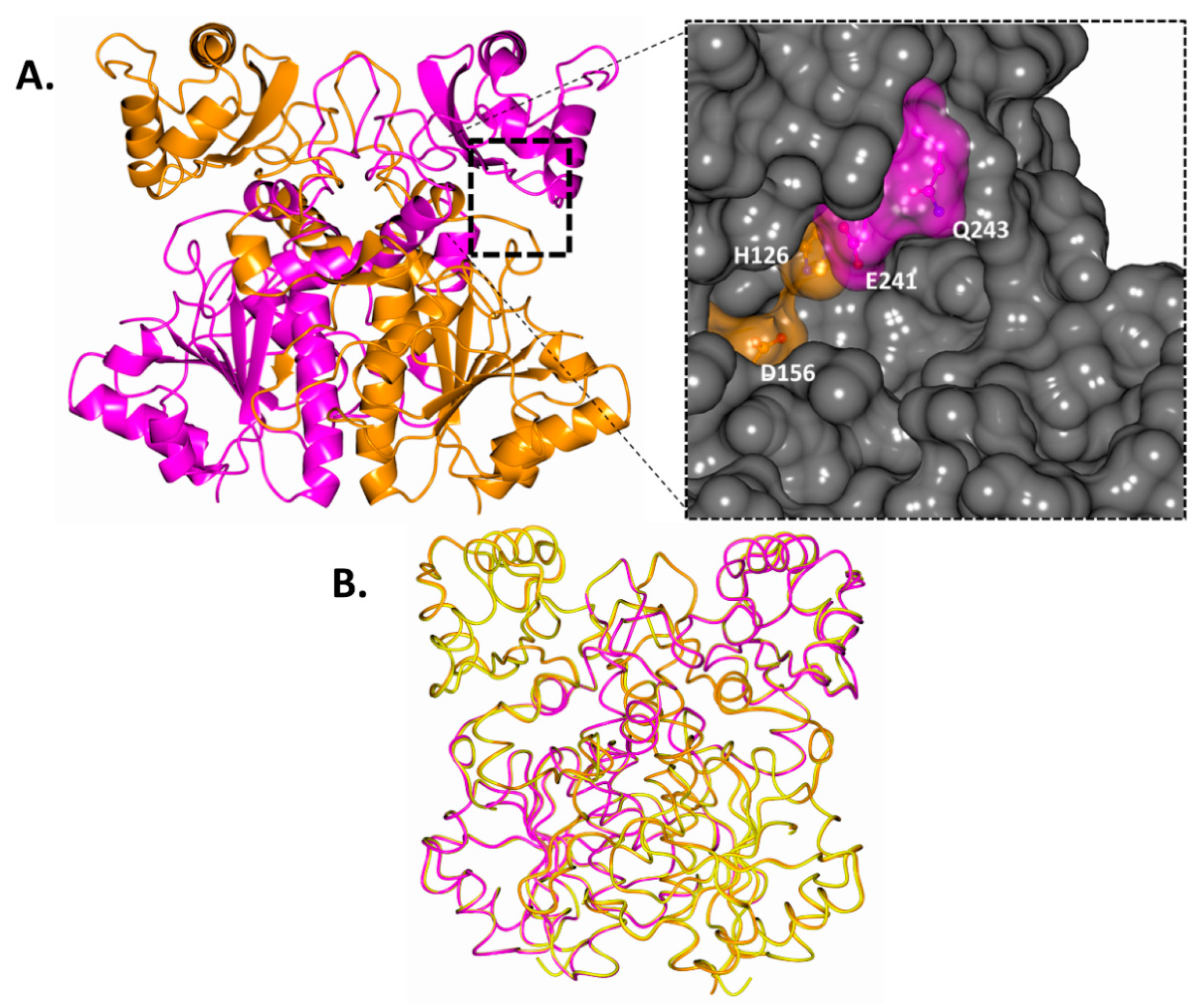 Biomolecules 14 00299 g004