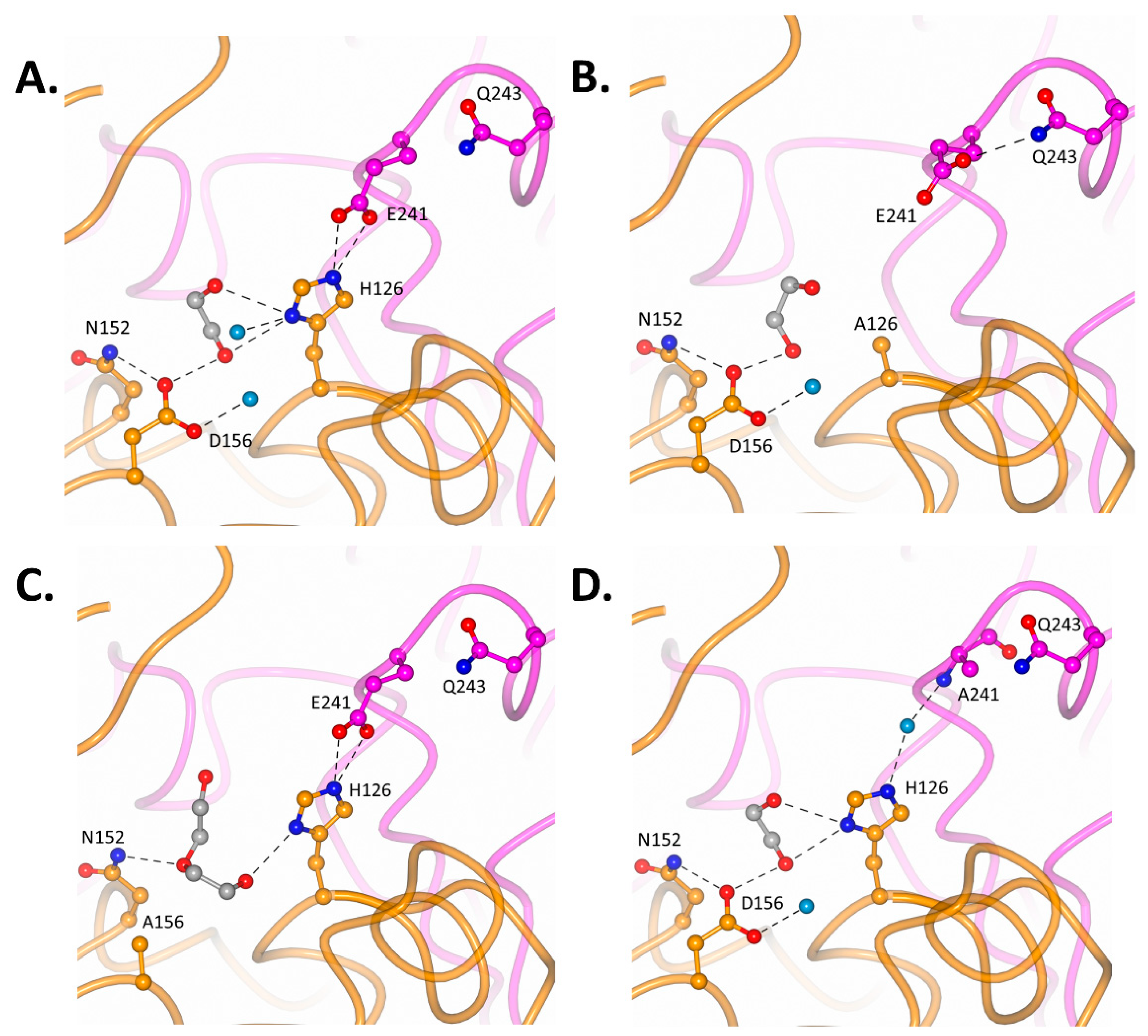 Biomolecules 14 00299 g005