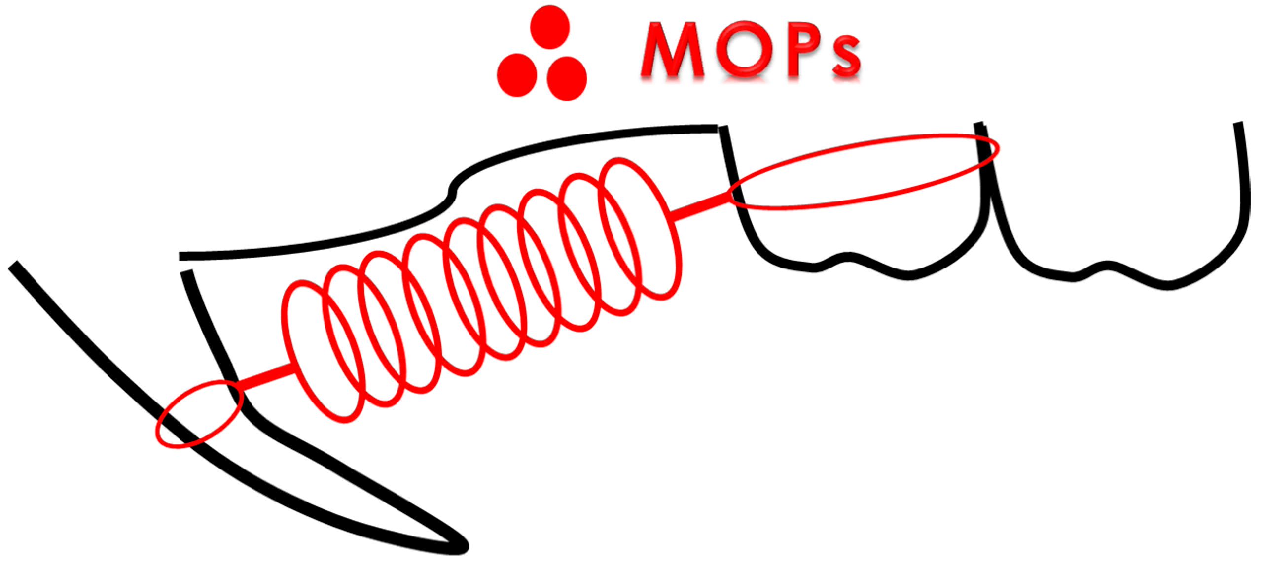 Biomolecules 14 00300 g002 Biomolecules 14 00300 g002
