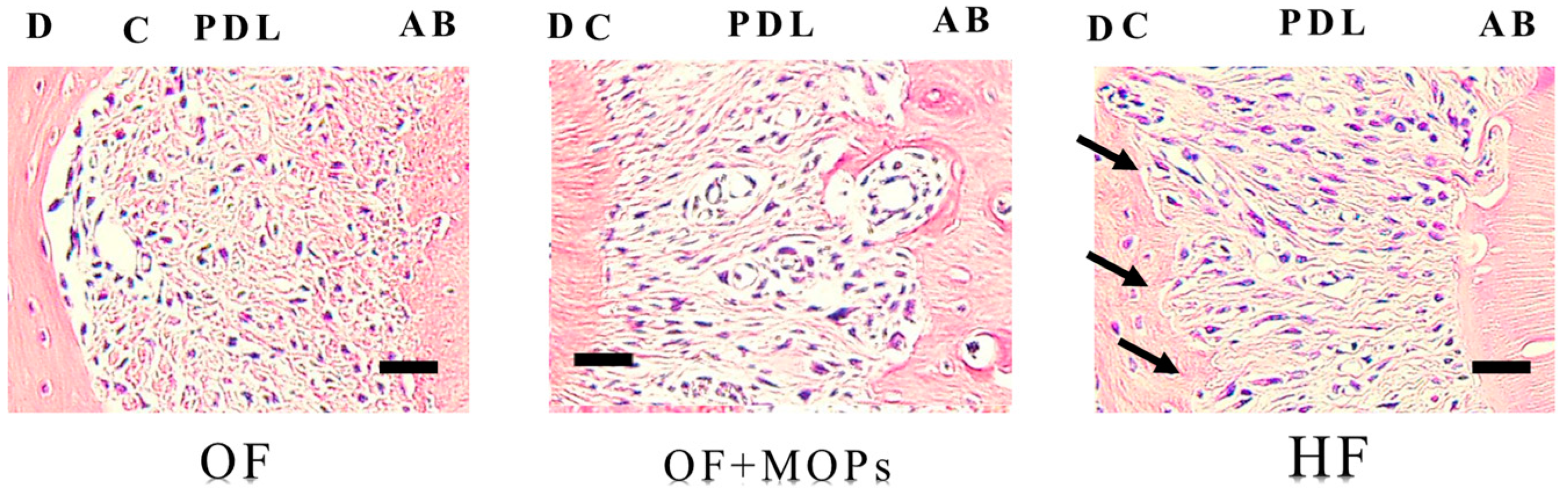 Biomolecules 14 00300 g006 Biomolecules 14 00300 g006