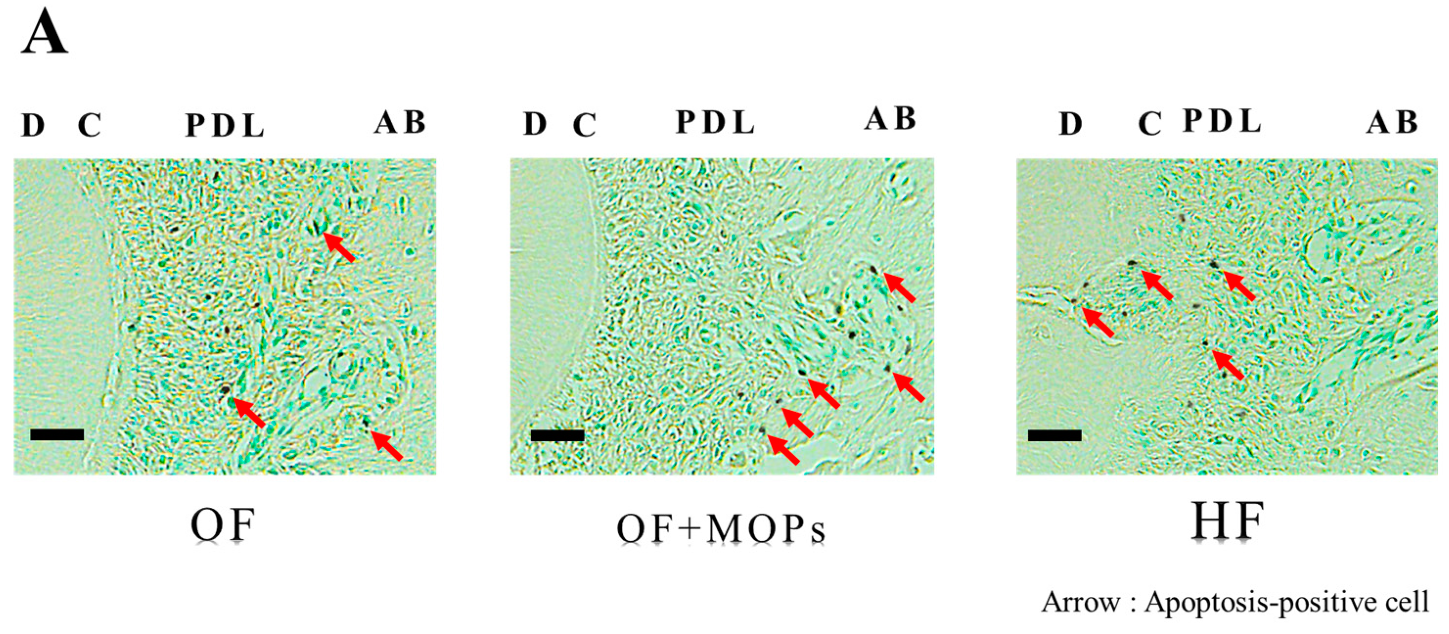 Biomolecules 14 00300 g007a Biomolecules 14 00300 g007a