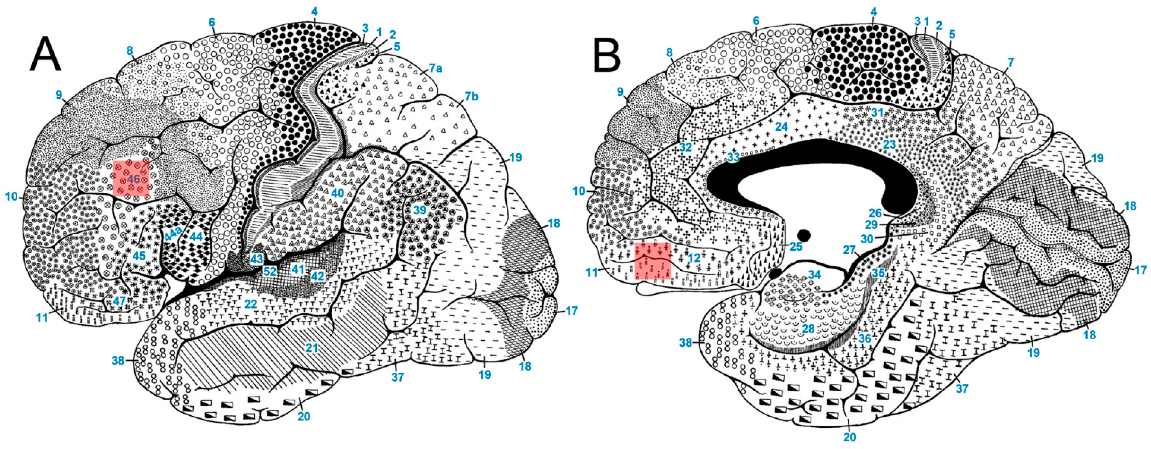 Biomolecules 14 00302 g001