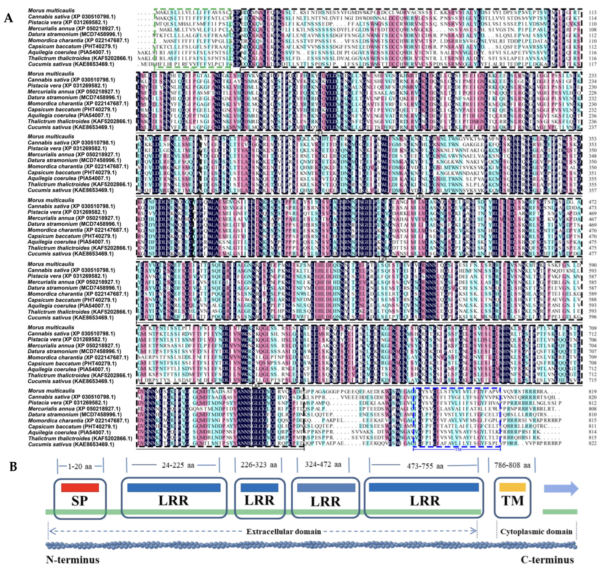Biomolecules 14 00308 g005