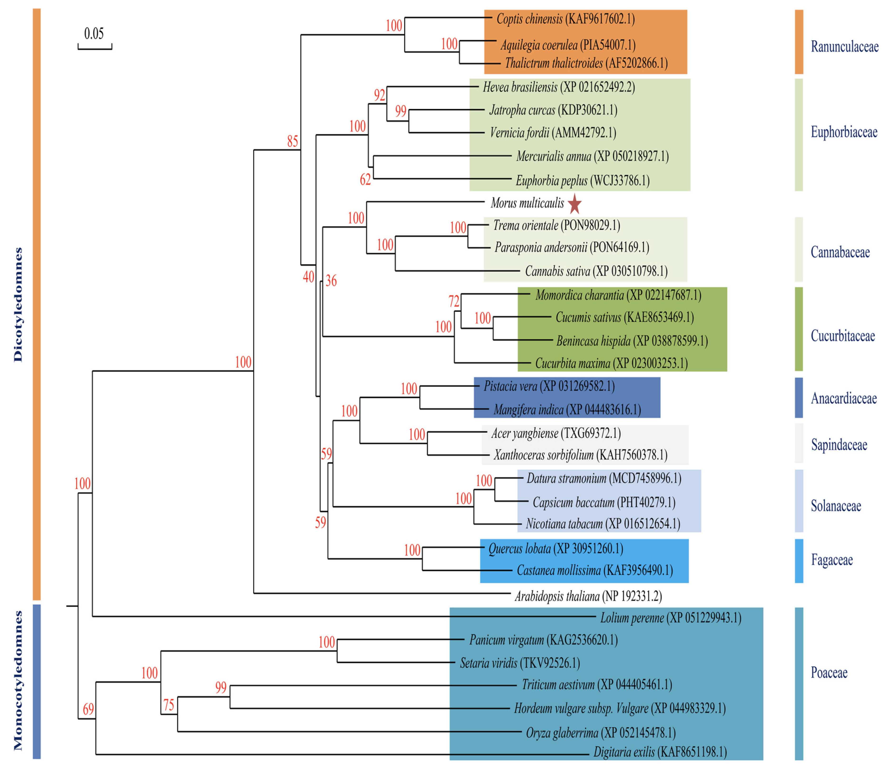 Biomolecules 14 00308 g006
