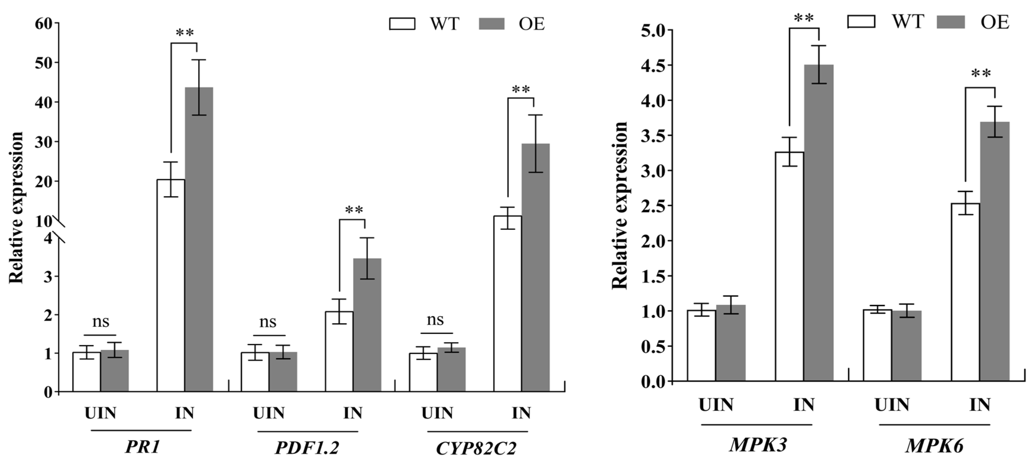 Biomolecules 14 00308 g011