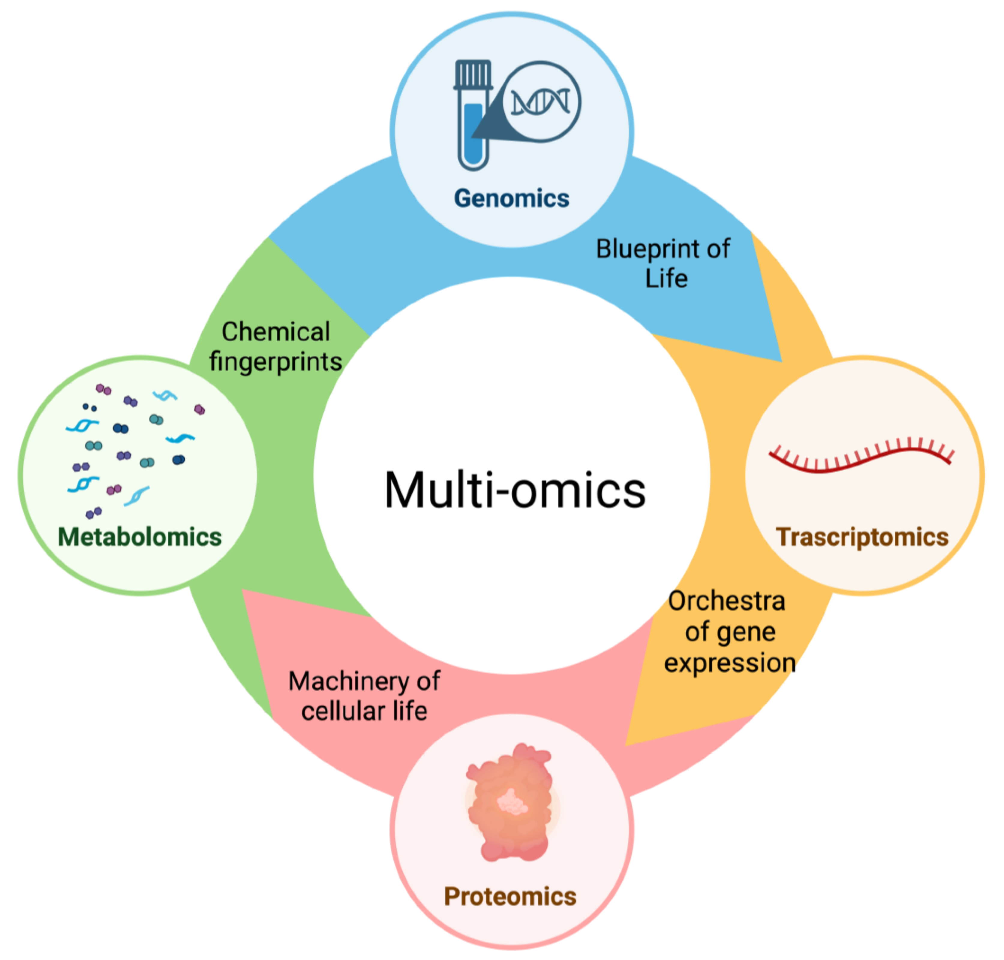 Biomolecules 14 00309 g002