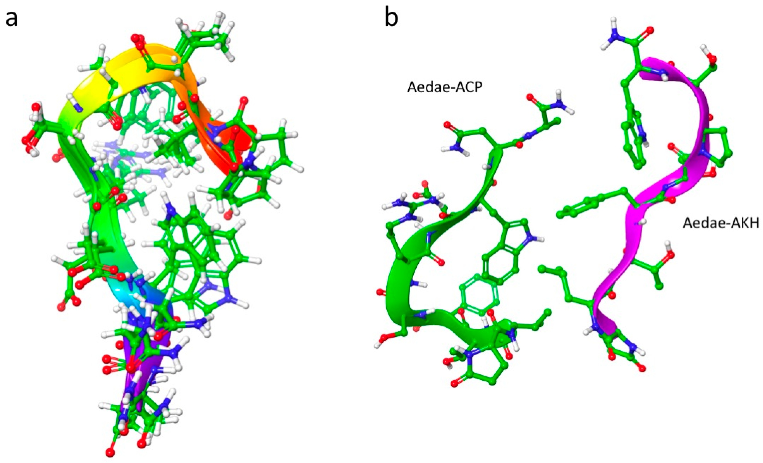 Biomolecules 14 00313 g002