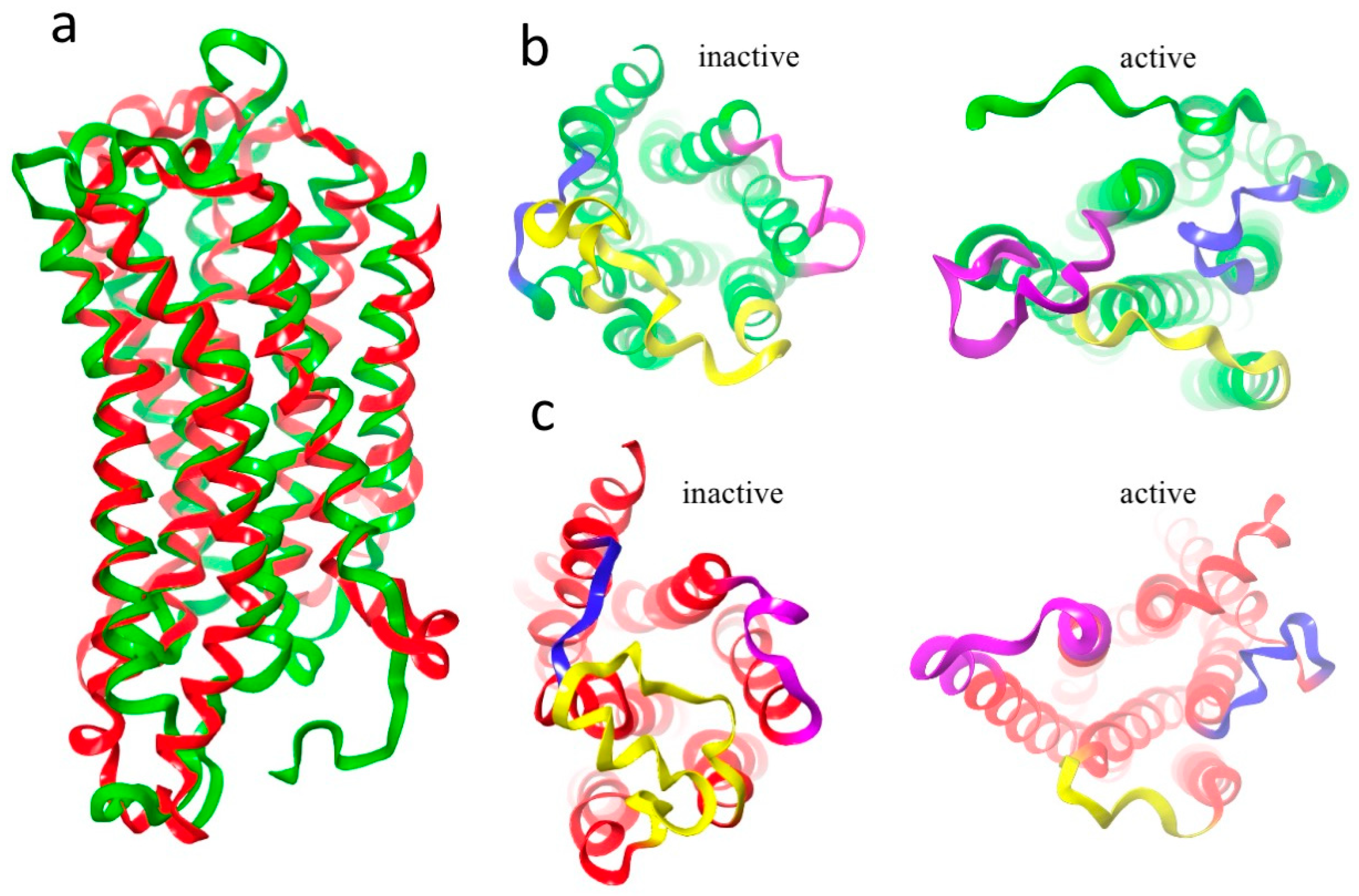 Biomolecules 14 00313 g009
