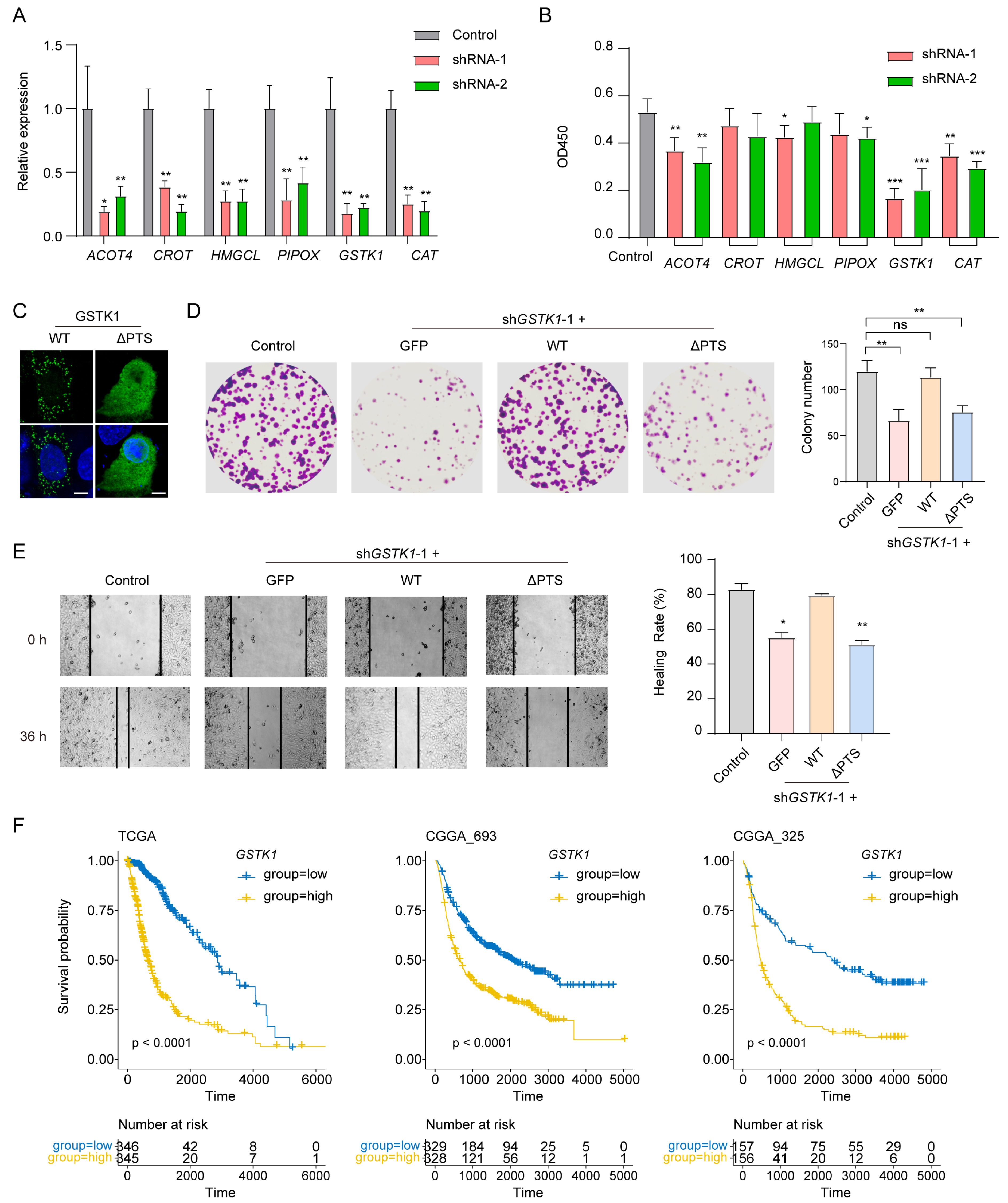 Biomolecules 14 00314 g007