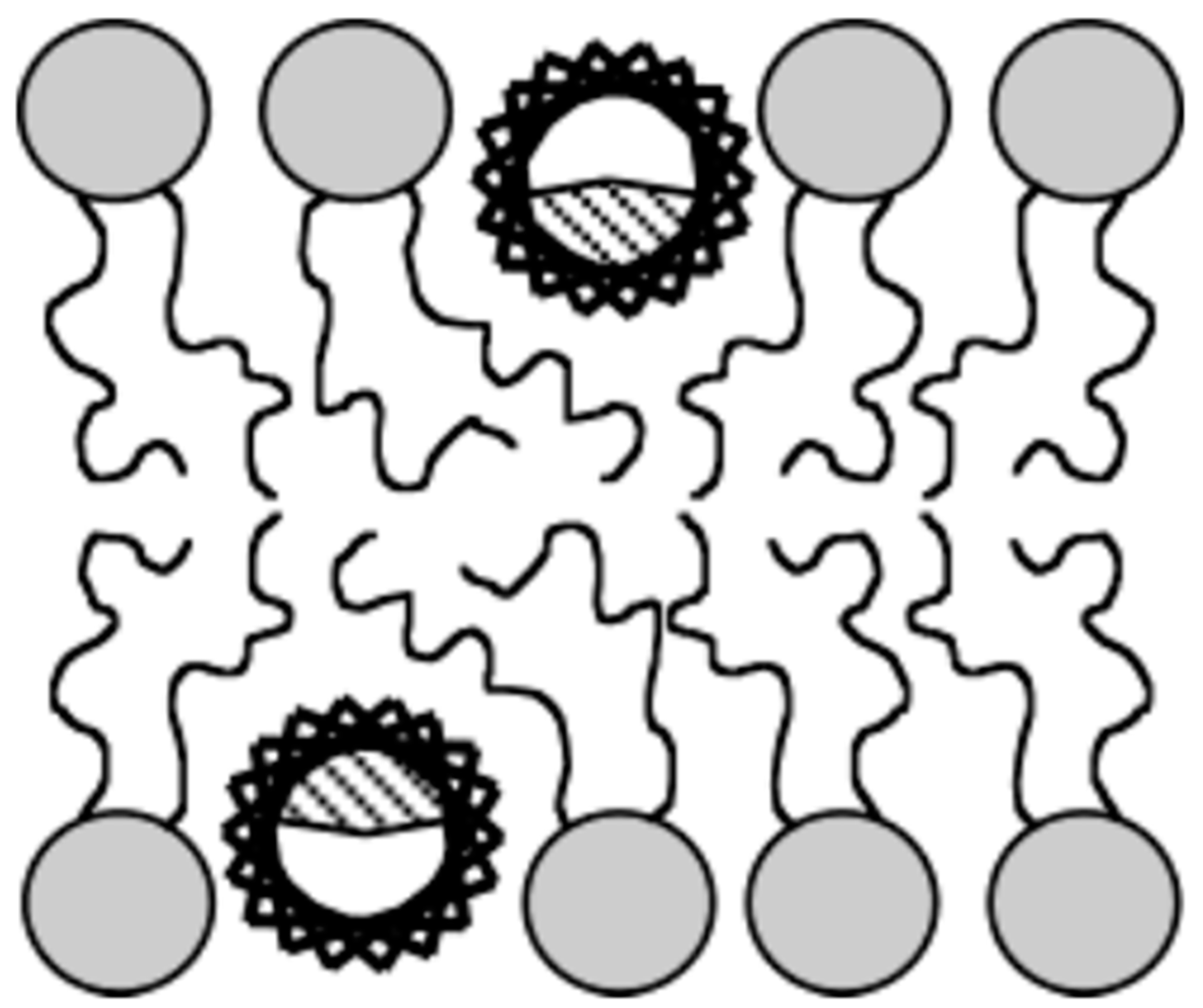 Biomolecules 14 00320 g009