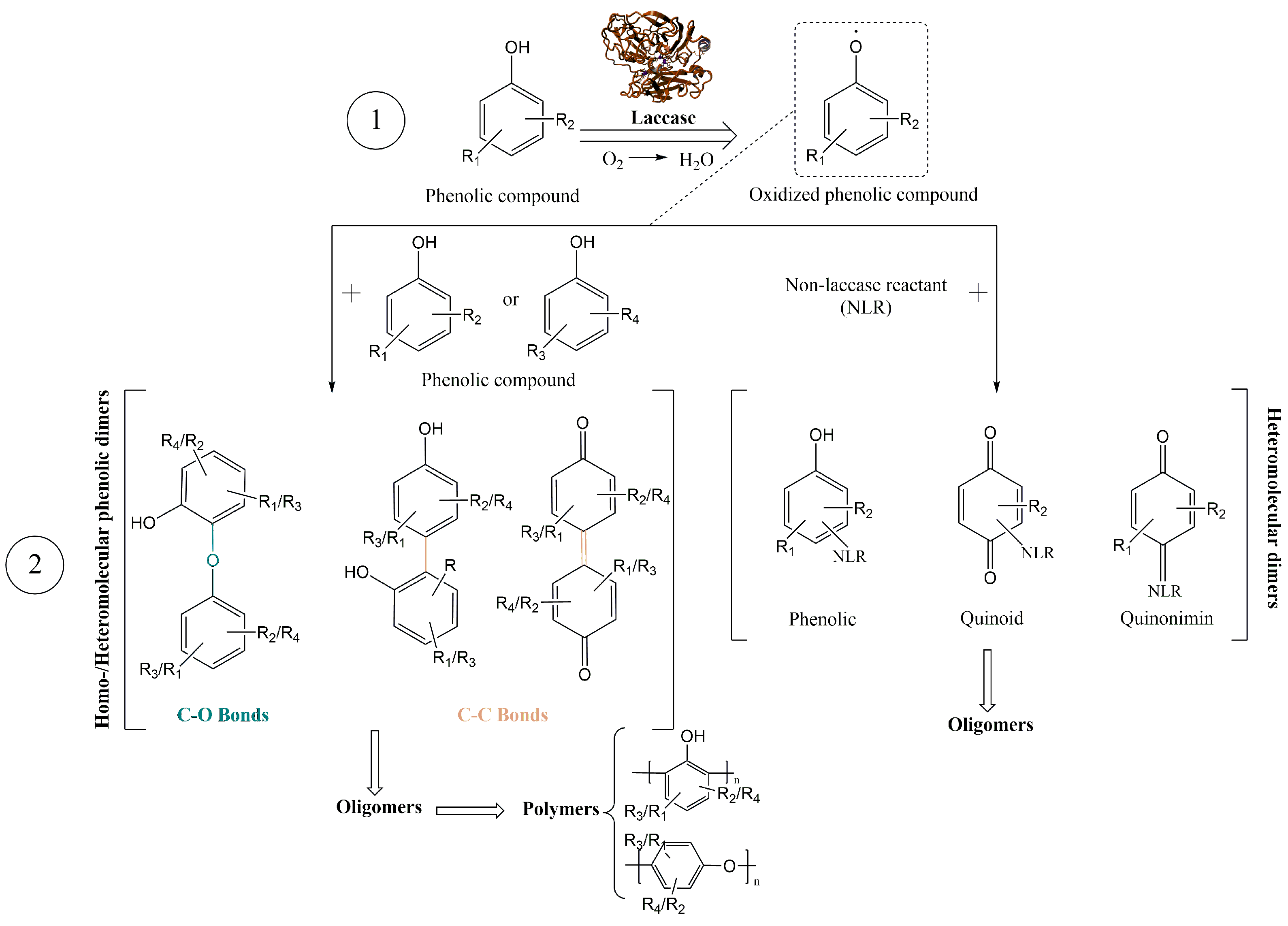 Biomolecules 14 00323 sch001 Biomolecules 14 00323 sch001