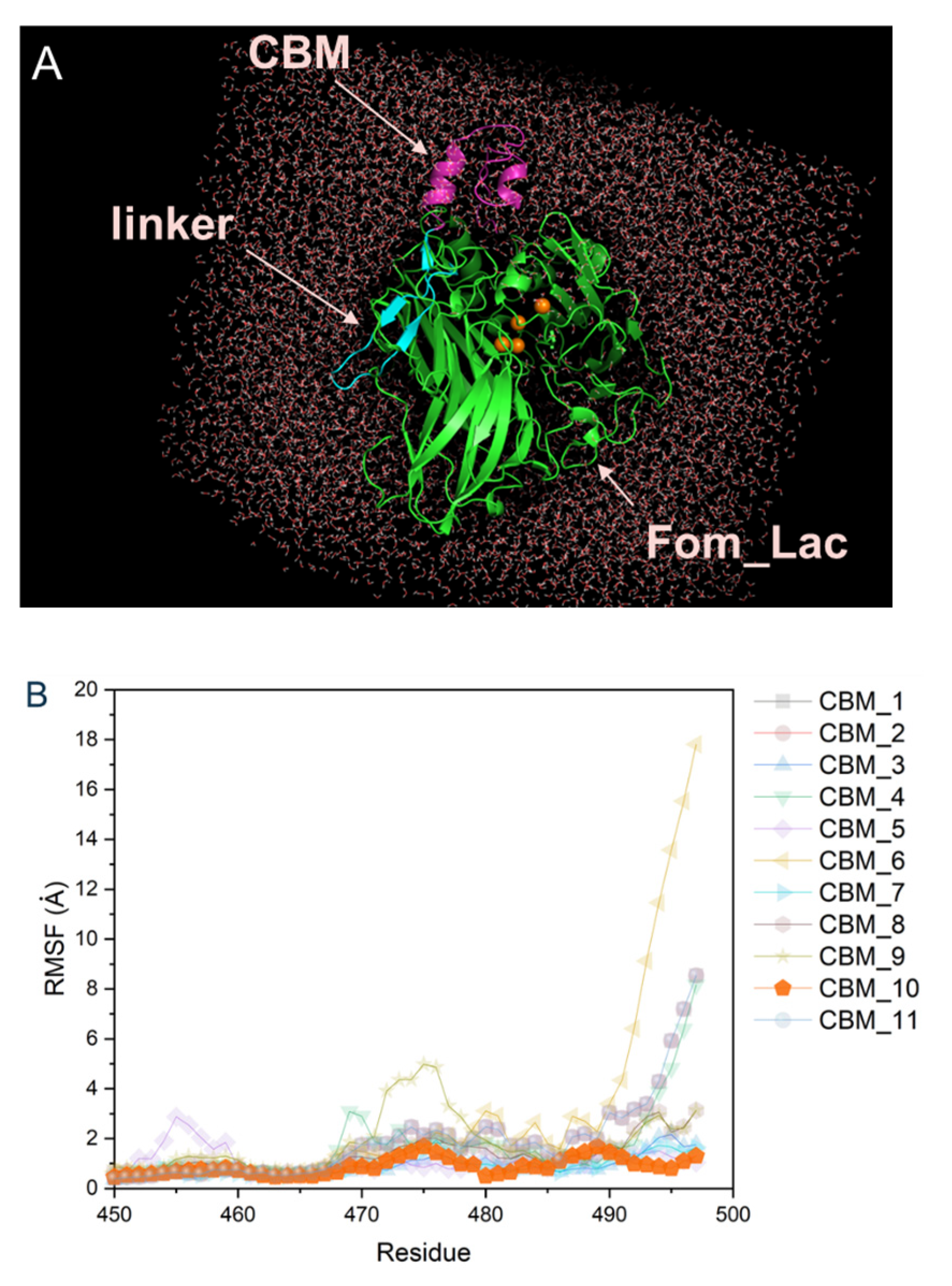 Biomolecules 14 00324 g004