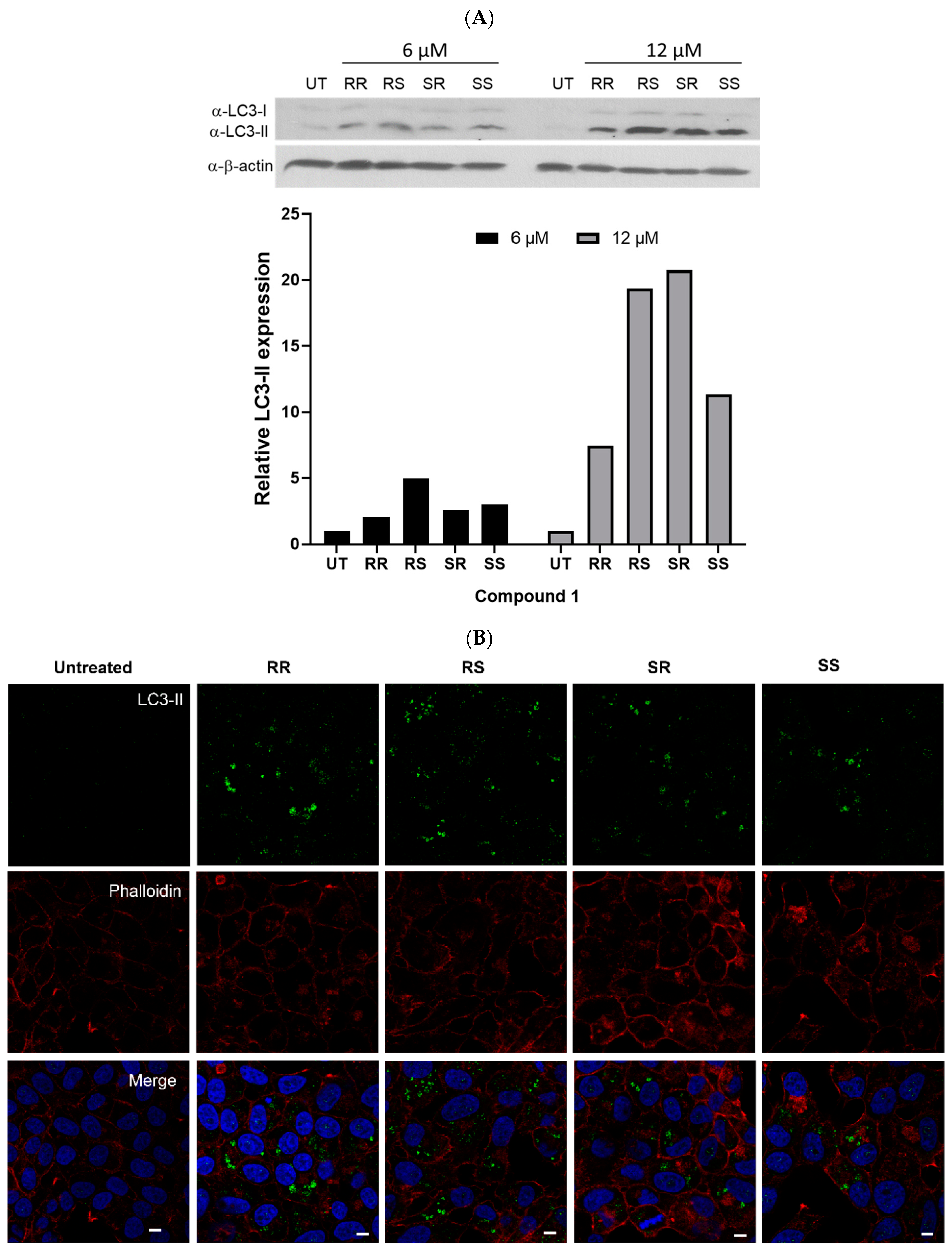 Biomolecules 14 00326 g005