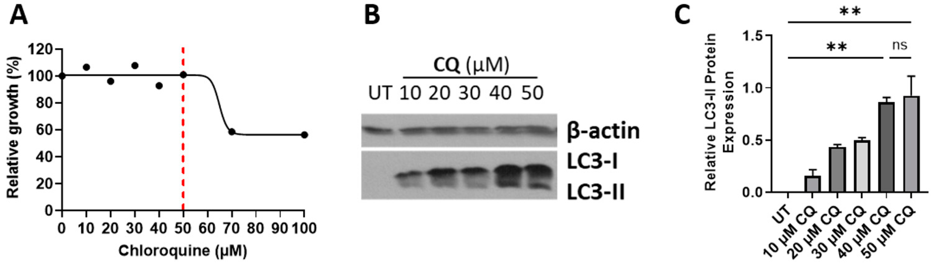Biomolecules 14 00326 g006