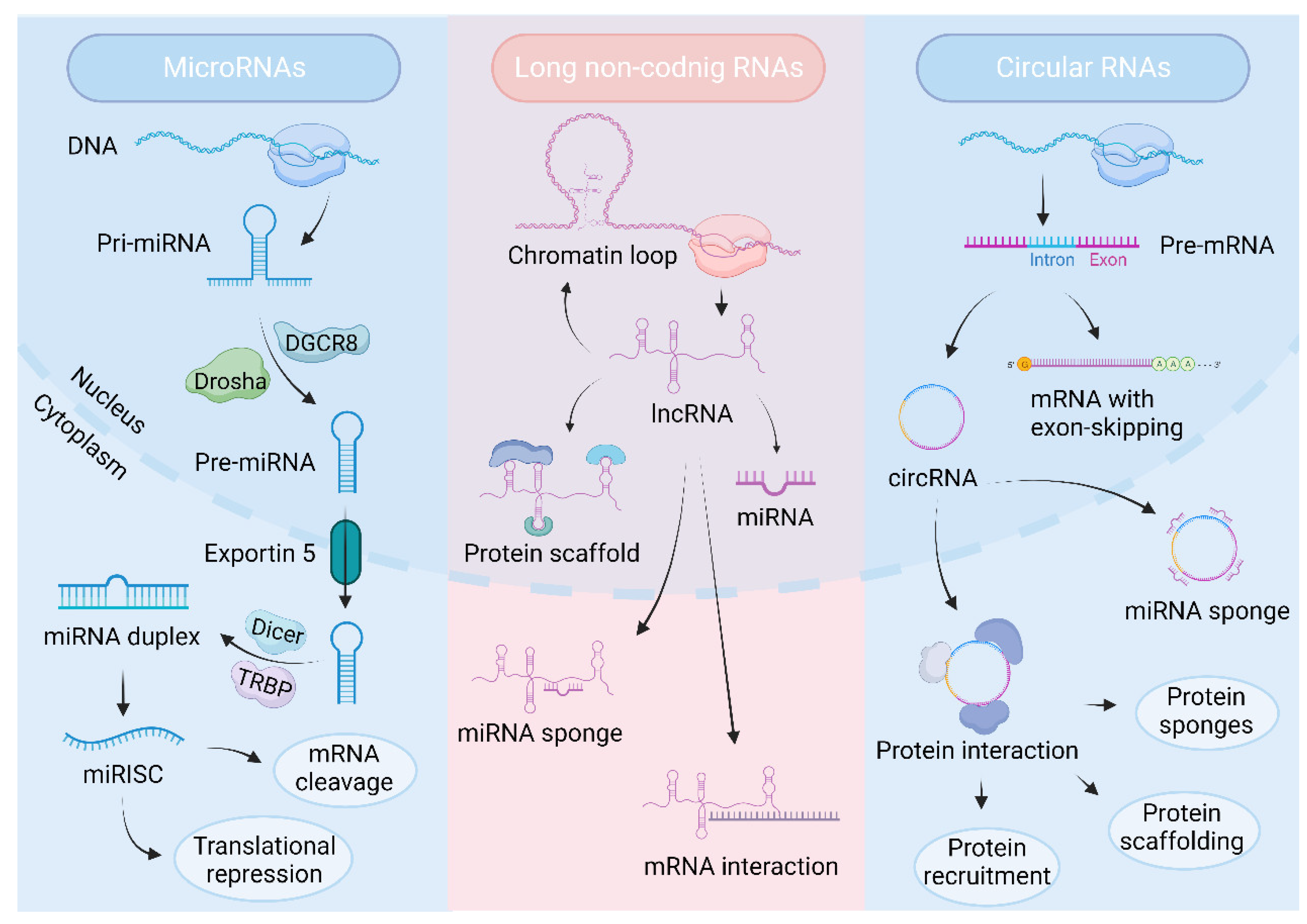 Biomolecules 14 00328 g003