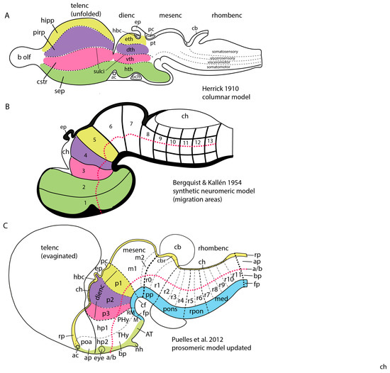 Biomolecules 14 00331 g002