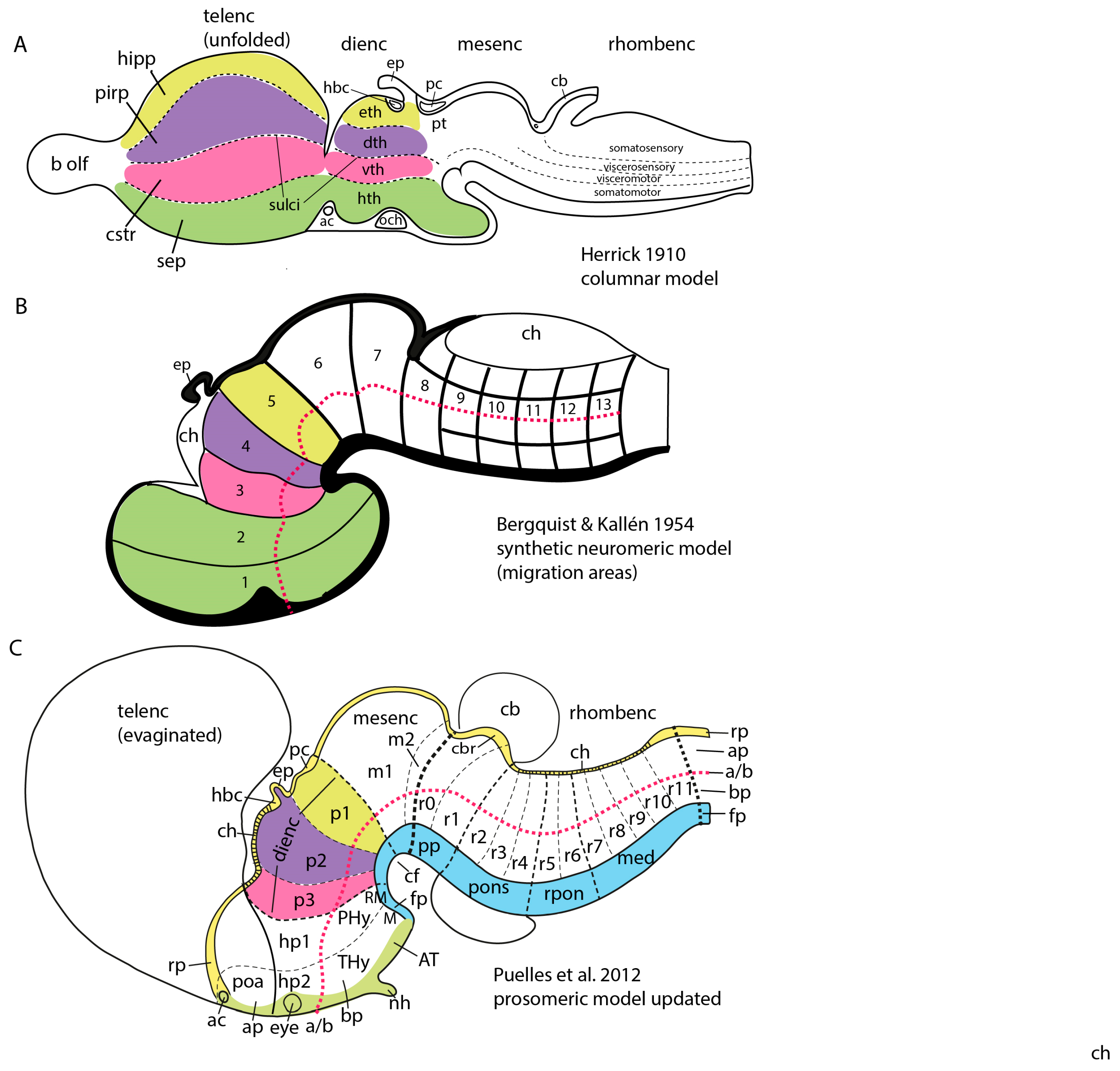 Biomolecules 14 00331 g002