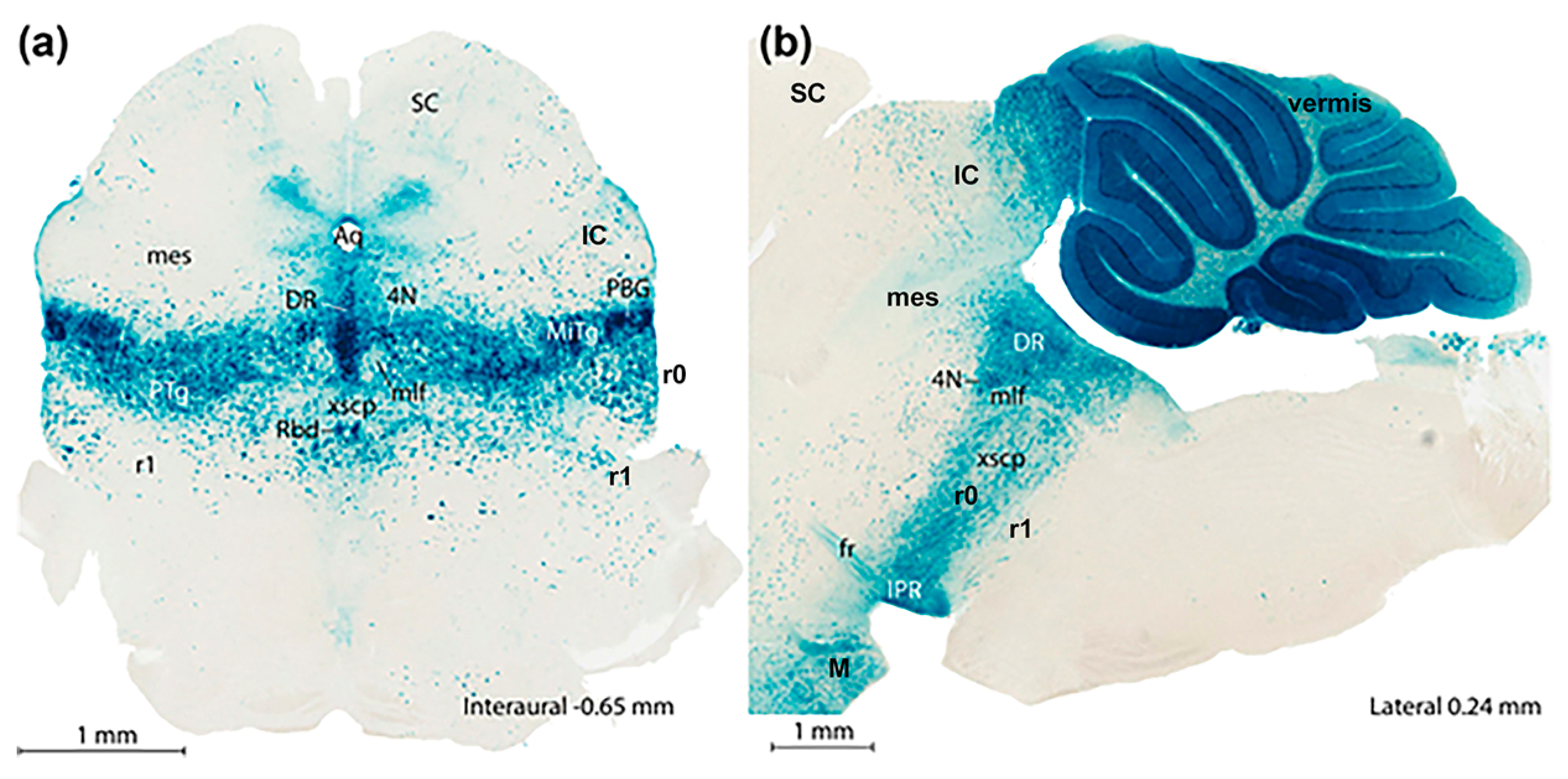 Biomolecules 14 00331 g003