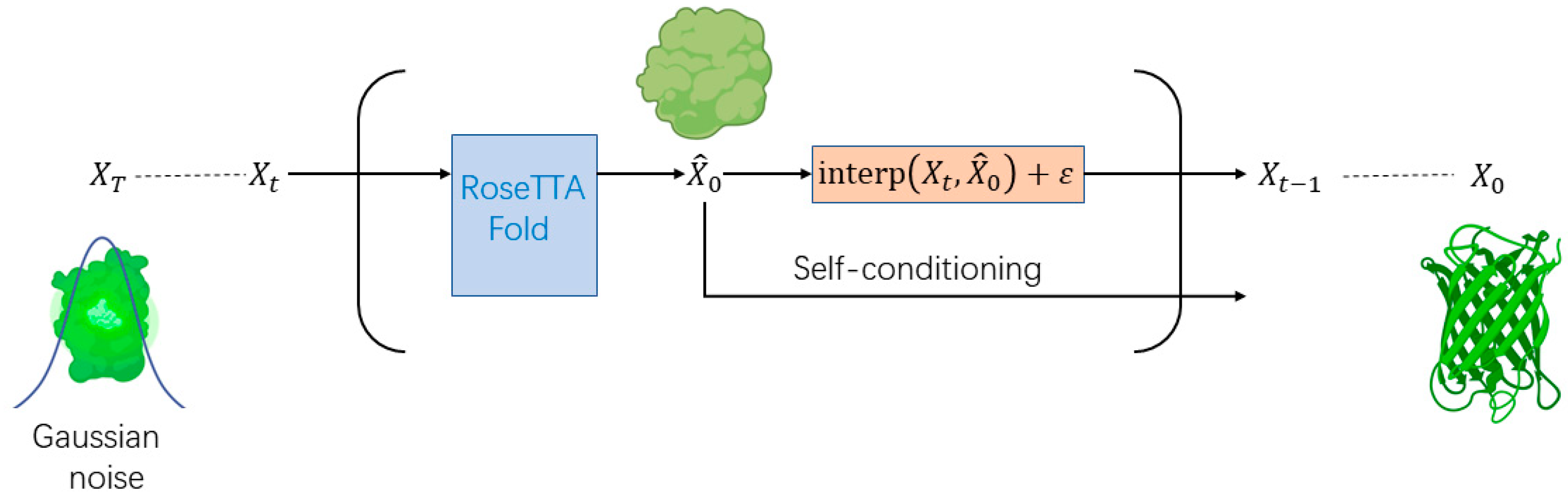 Biomolecules 14 00339 g005