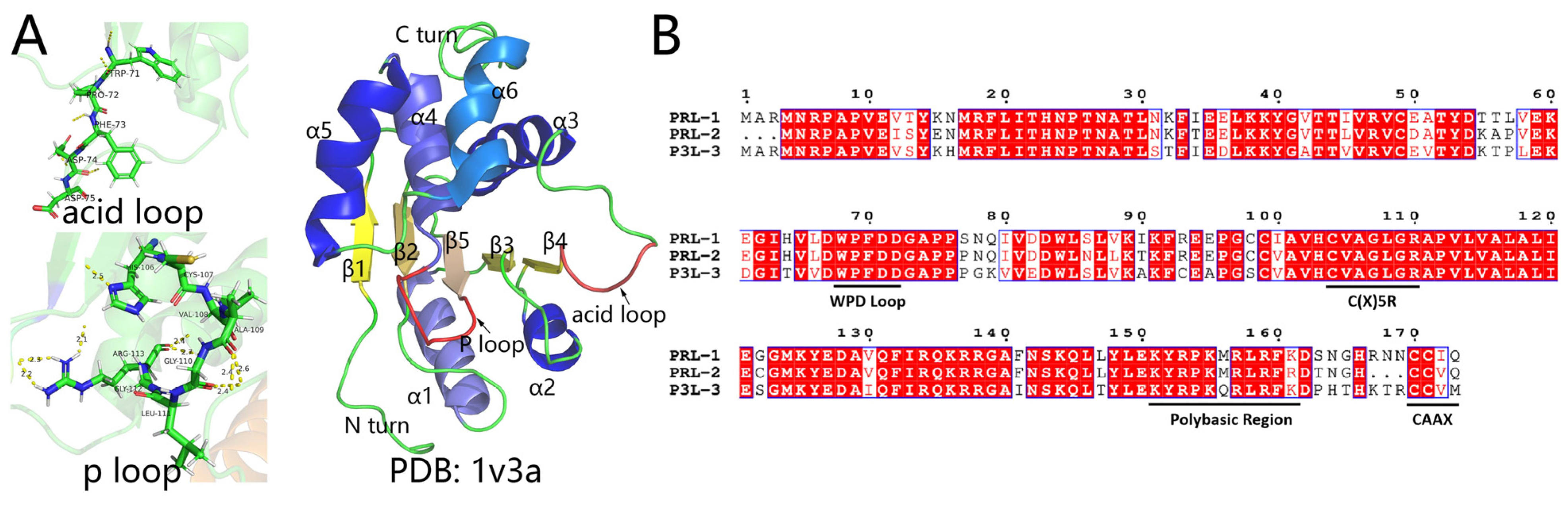 Biomolecules 14 00342 g001