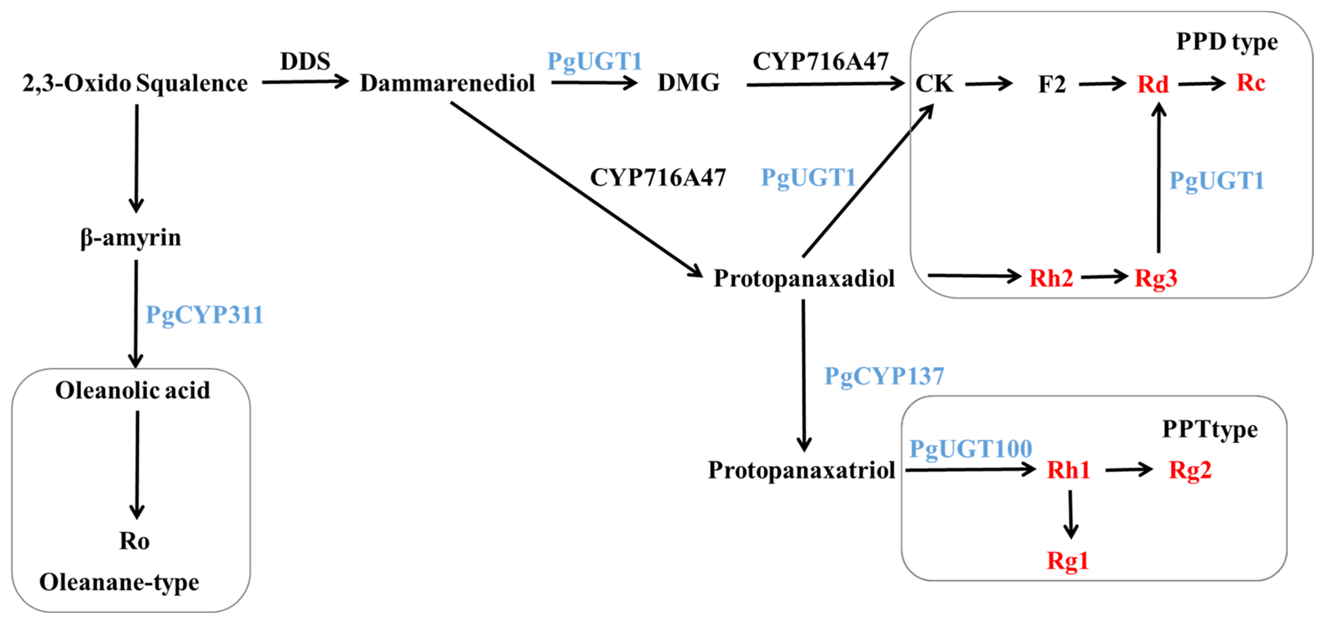 Biomolecules 14 00345 g012
