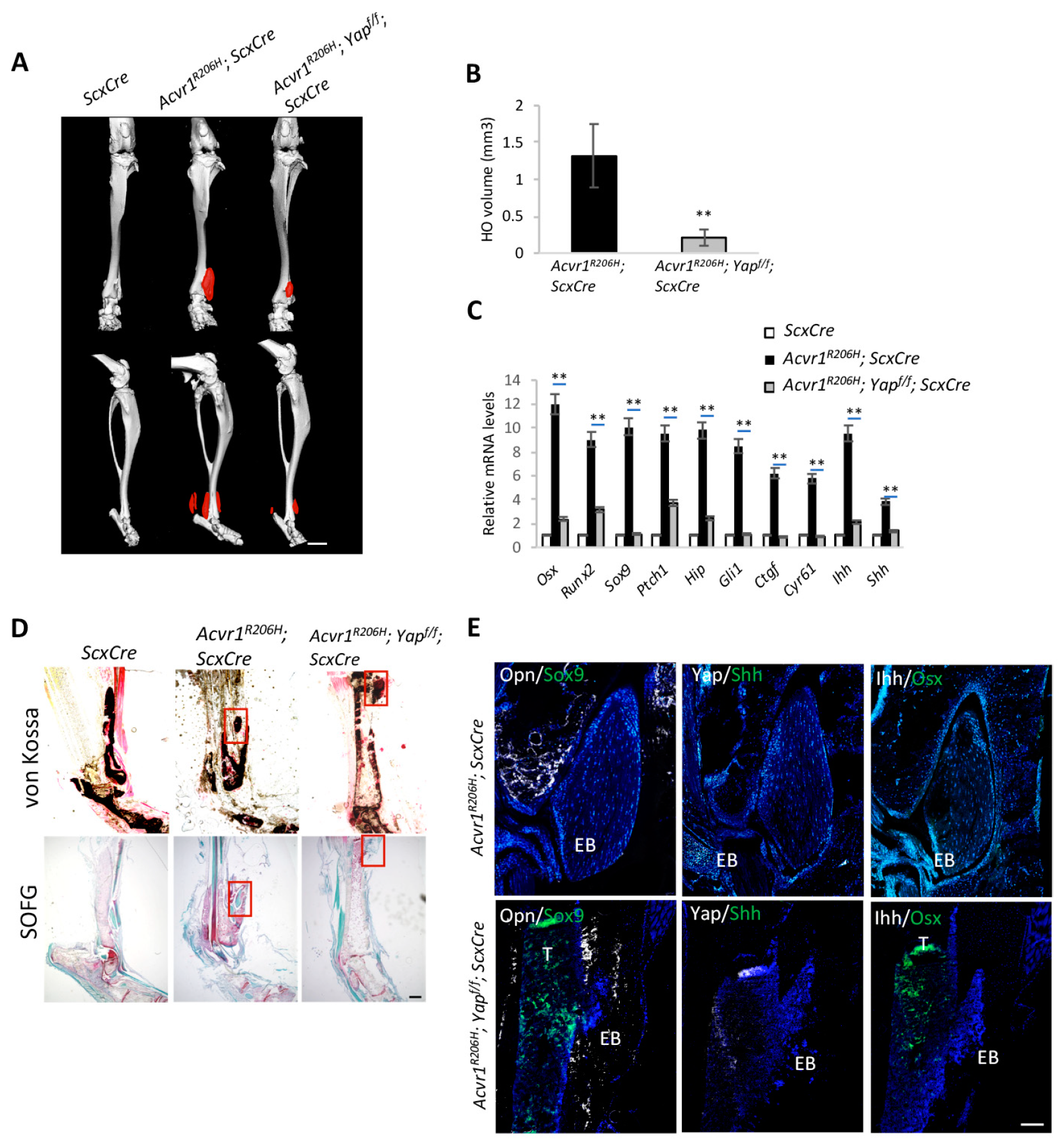 Biomolecules 14 00347 g003 Biomolecules 14 00347 g003