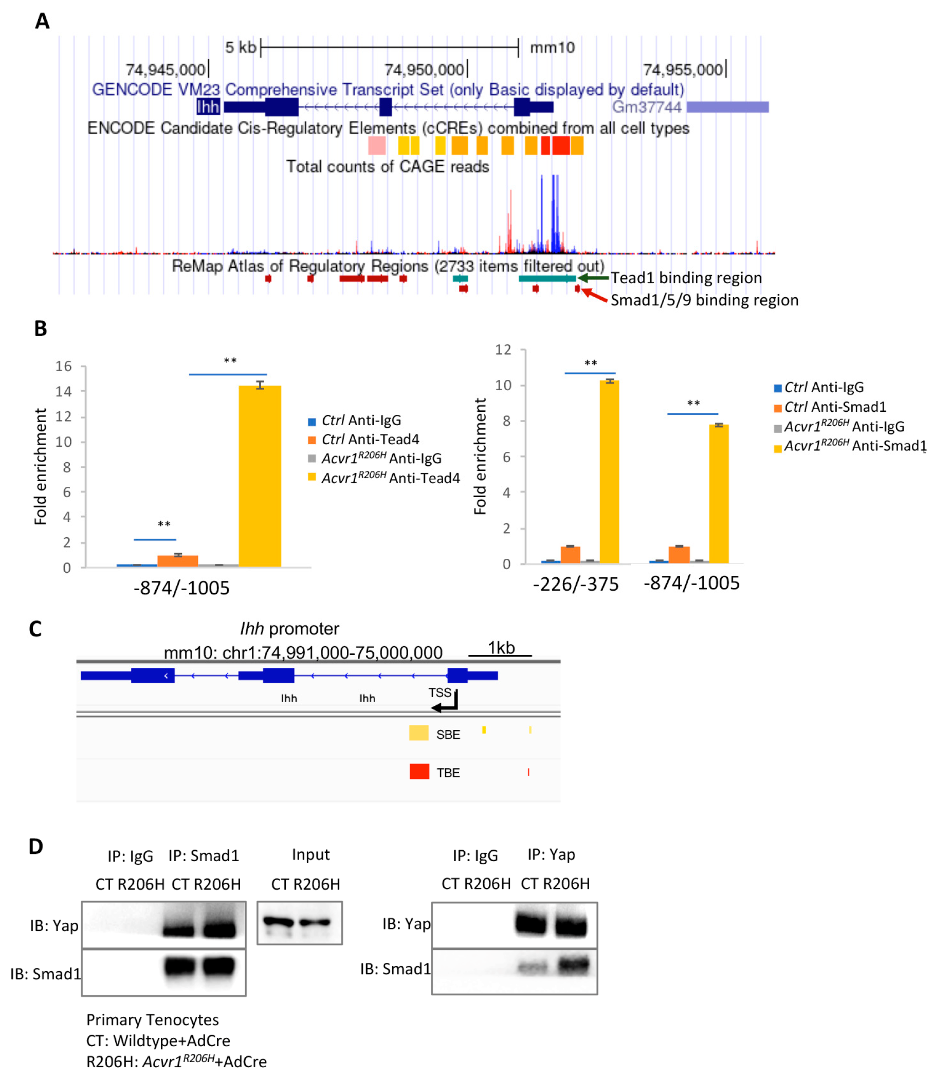 Biomolecules 14 00347 g005 Biomolecules 14 00347 g005
