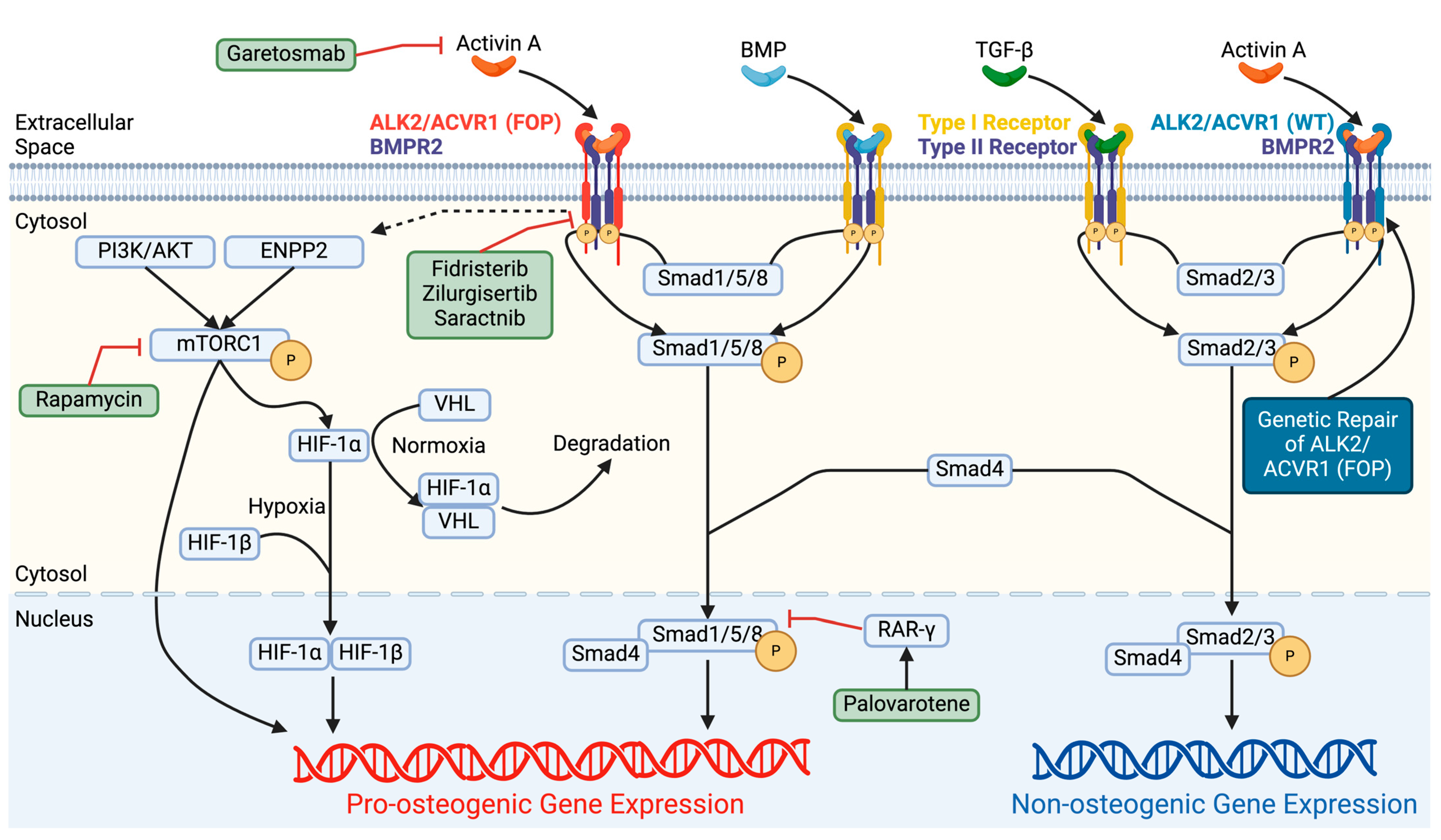Biomolecules 14 00349 g002 Biomolecules 14 00349 g002