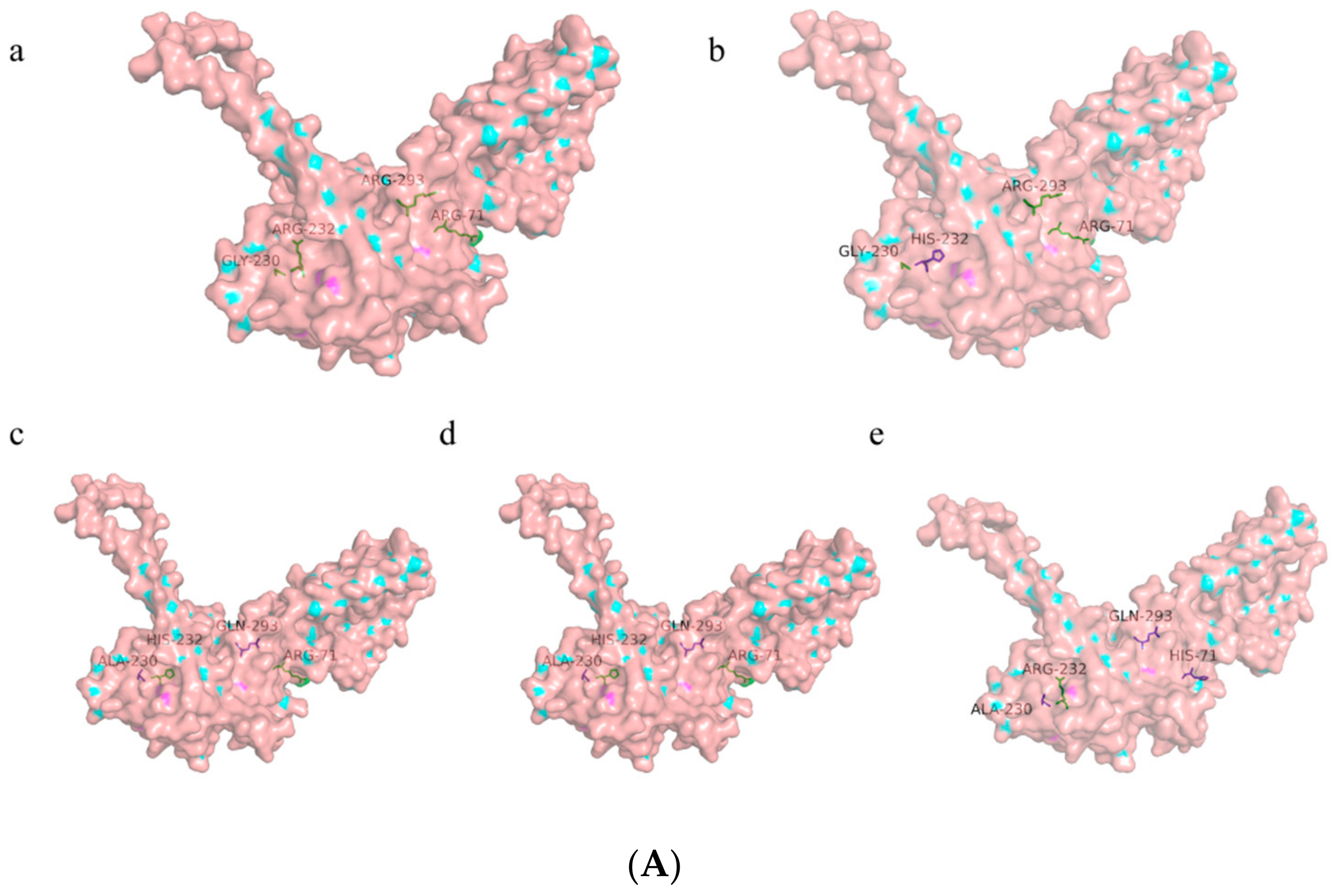 Biomolecules 14 00350 g001a