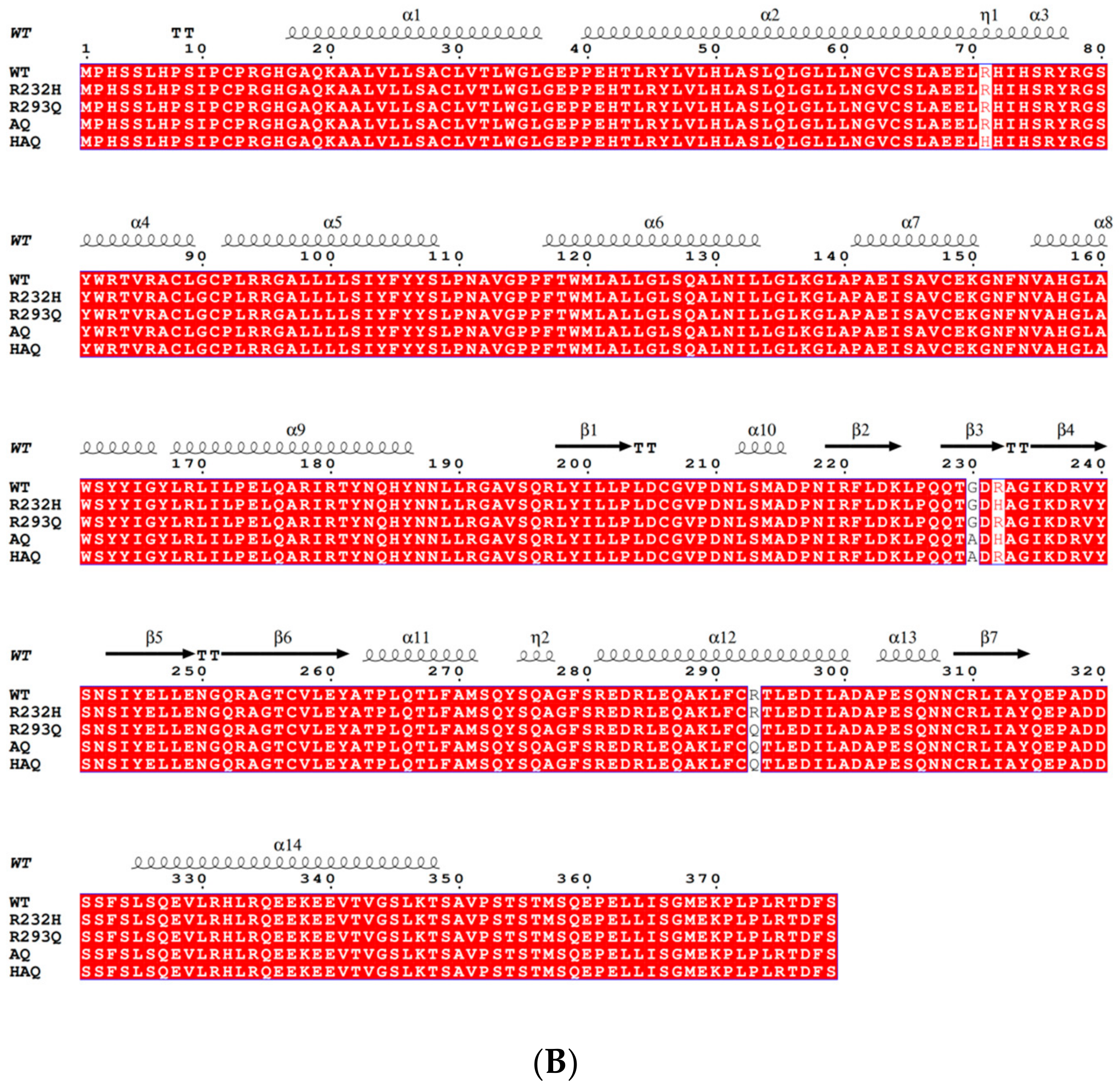 Biomolecules 14 00350 g001b