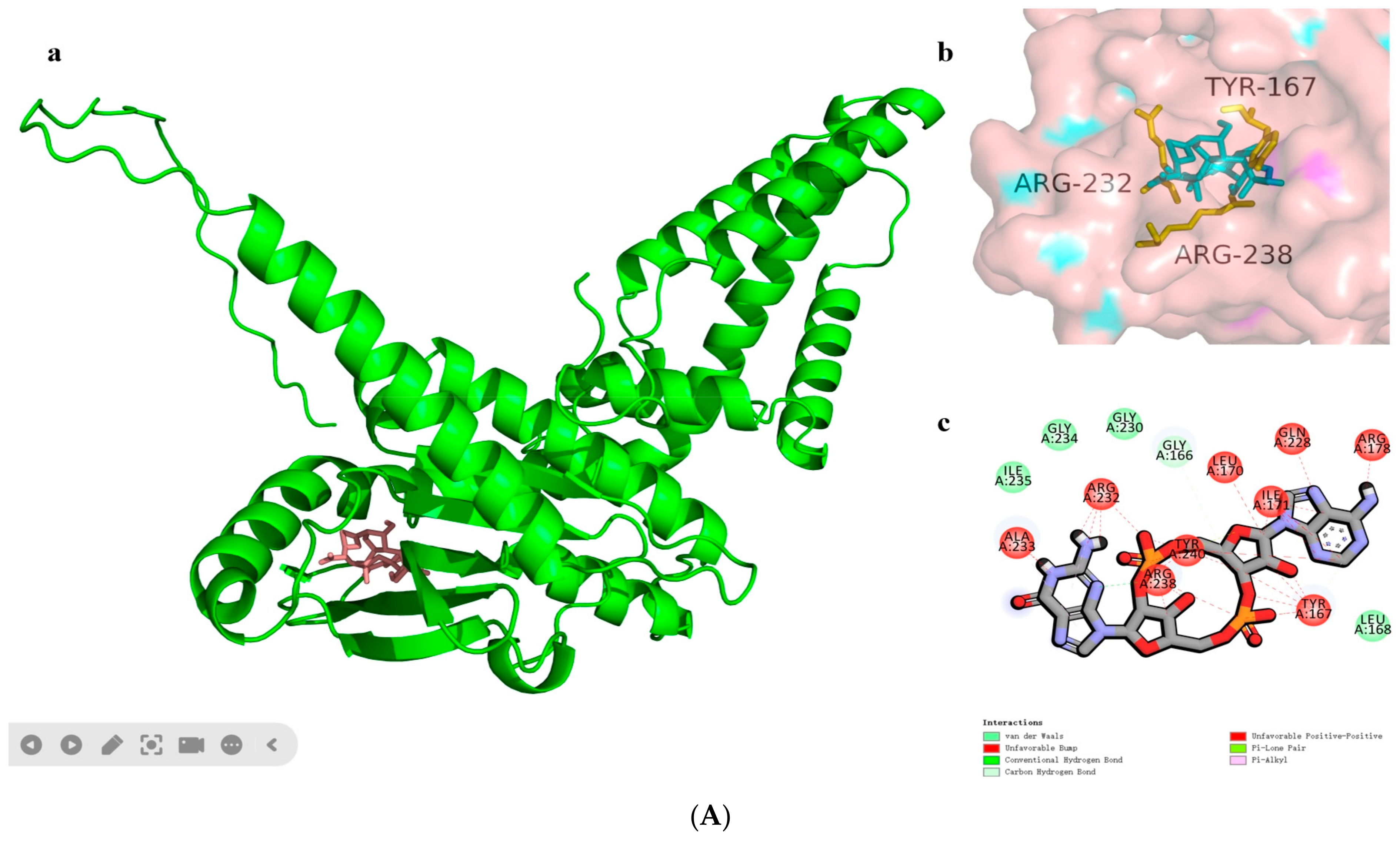 Biomolecules 14 00350 g004a